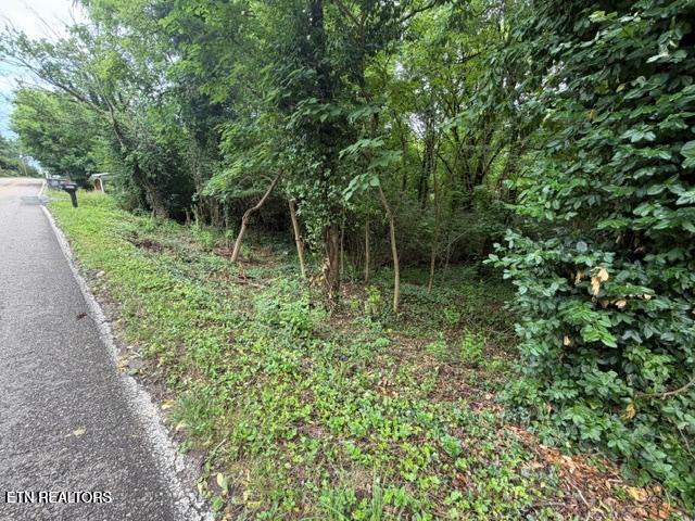 4210 Skyline Drive Knoxville TN 37914