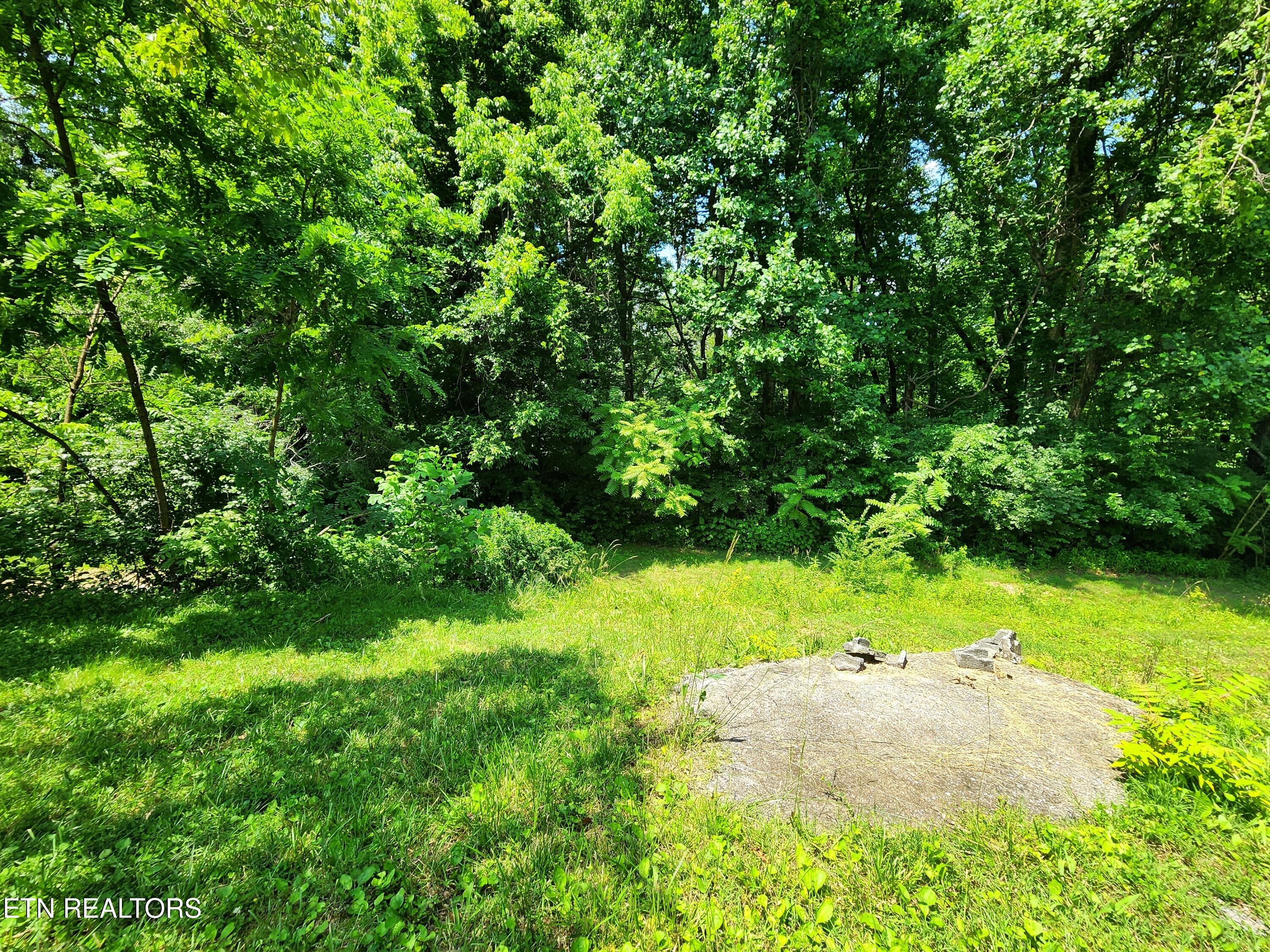 261 Harding Road Harriman TN 37748