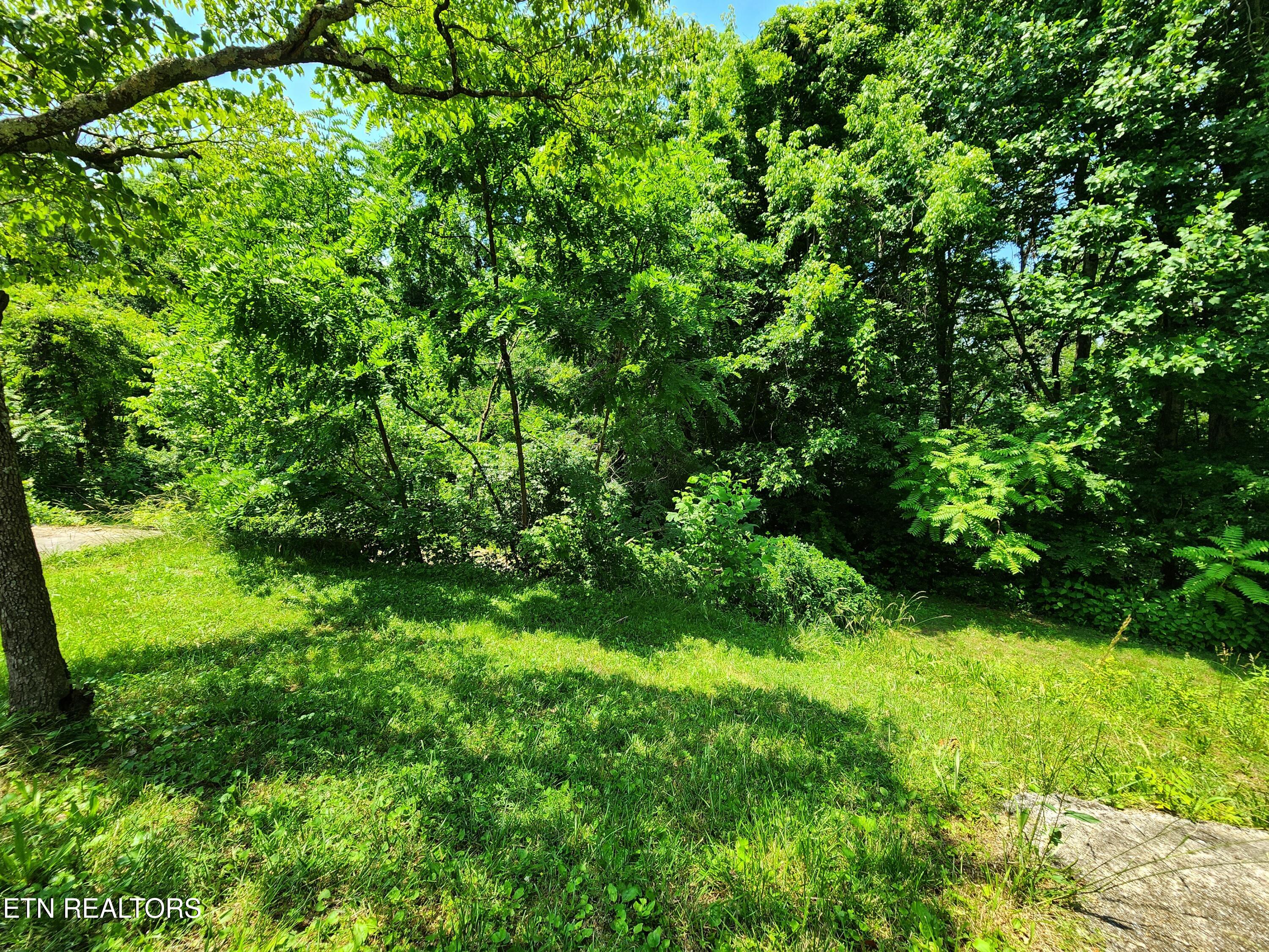 261 Harding Road Harriman TN 37748