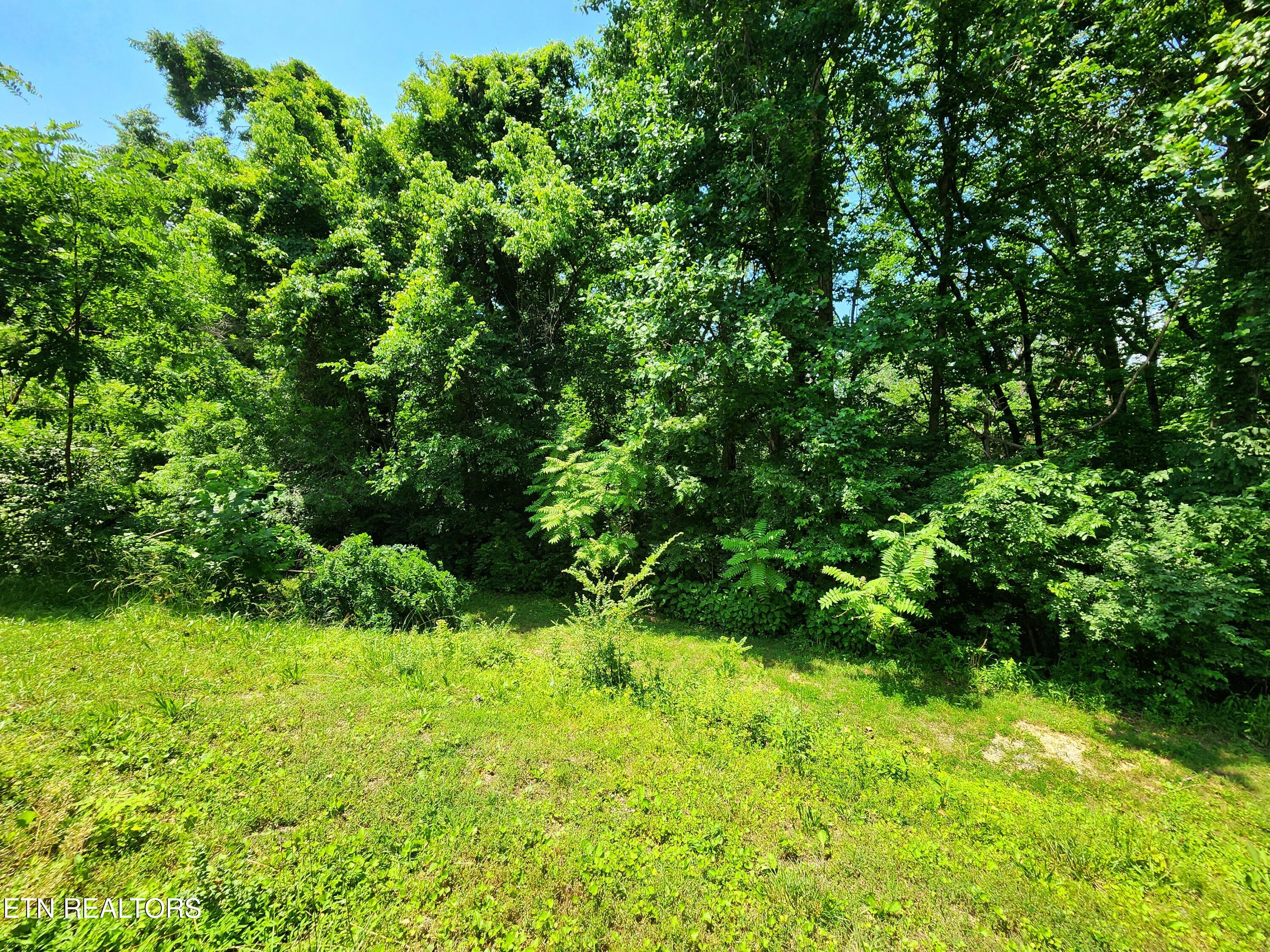 261 Harding Road Harriman TN 37748