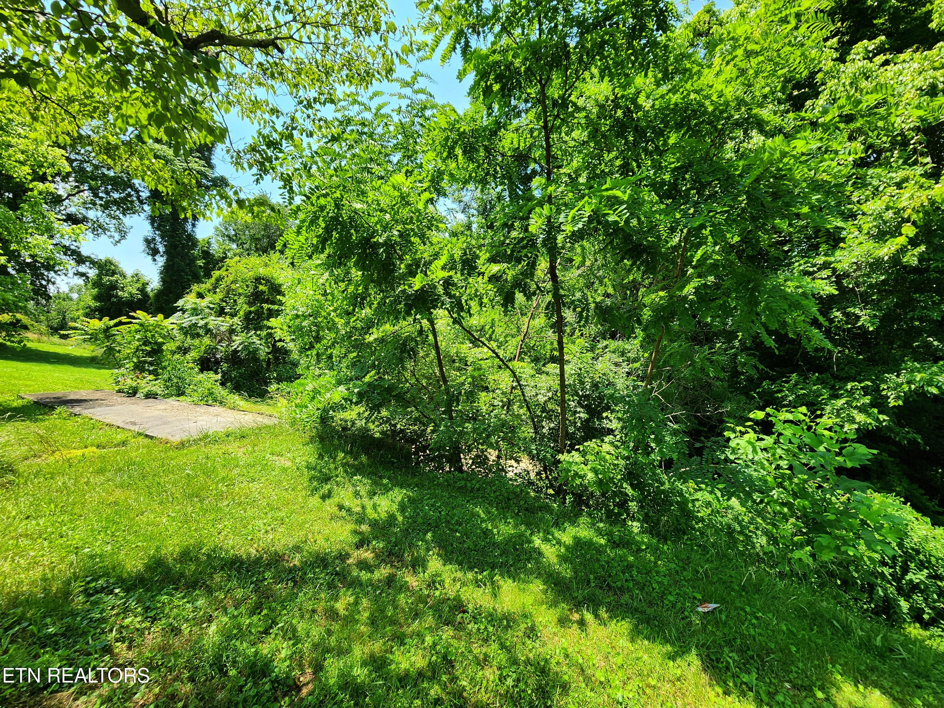261 Harding Road Harriman TN 37748