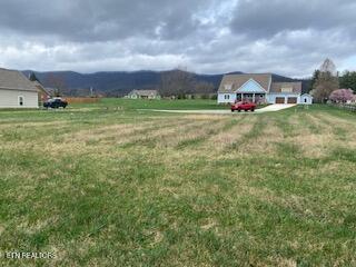 138 Lilac Lane Speedwell TN 37870