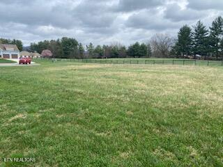 138 Lilac Lane Speedwell TN 37870