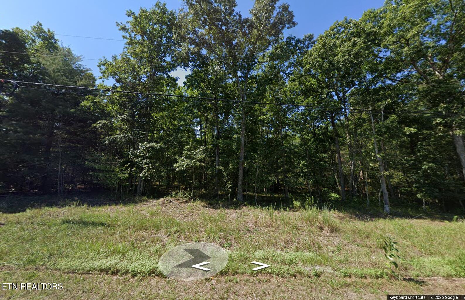 1030 Geronimo Lane Crossville TN 38572