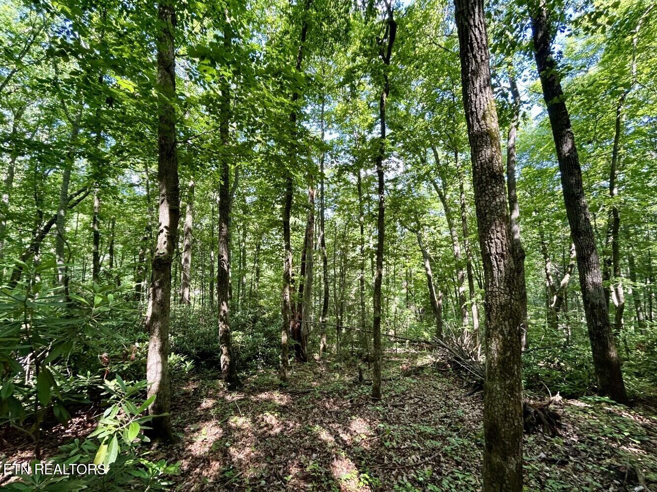 0 Grand Country Drive Cosby TN 37722