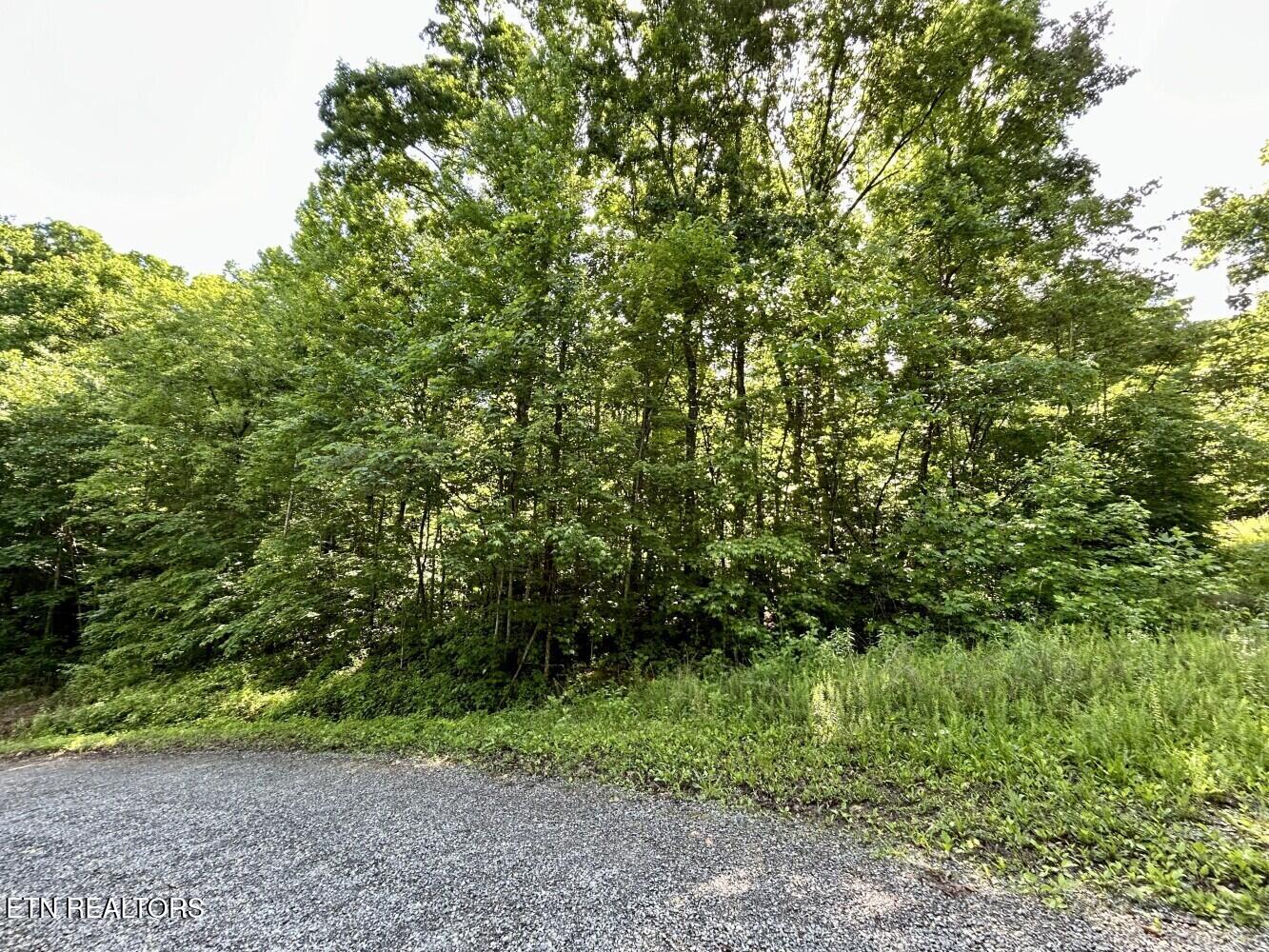 0 Grand Country Drive Cosby TN 37722