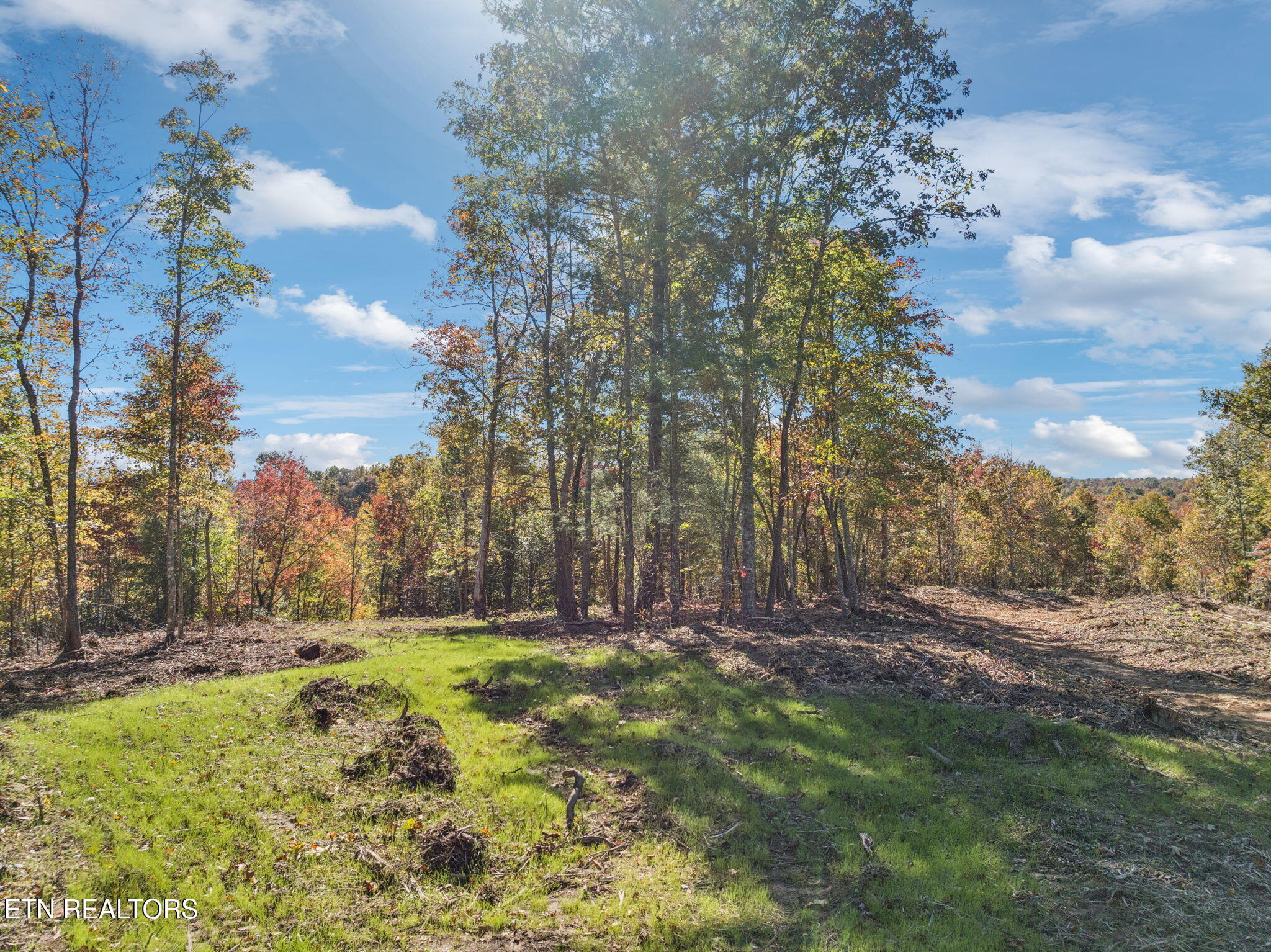 Sheep Ranch Road Robbins TN 37852