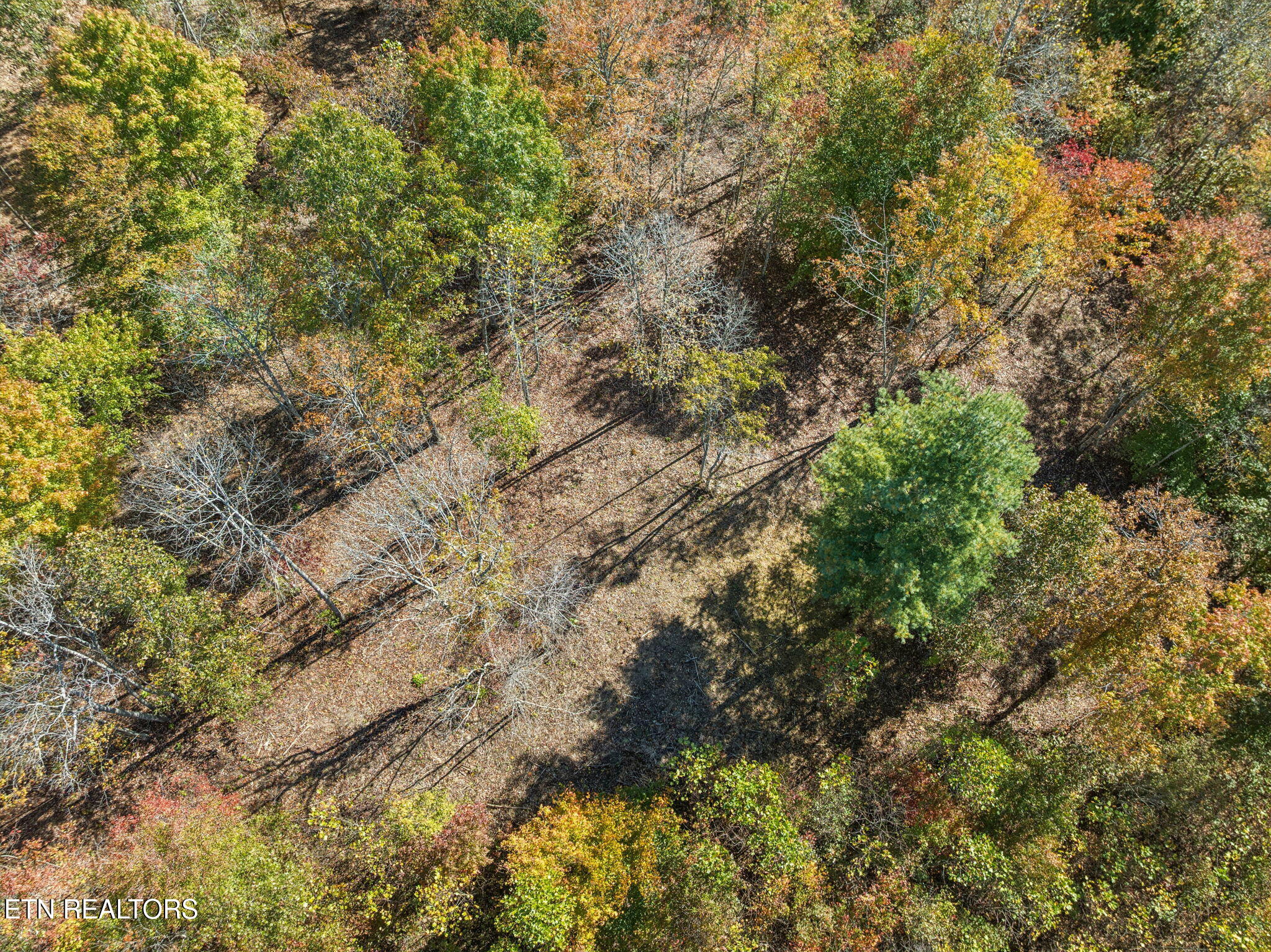 Sheep Ranch Road Robbins TN 37852