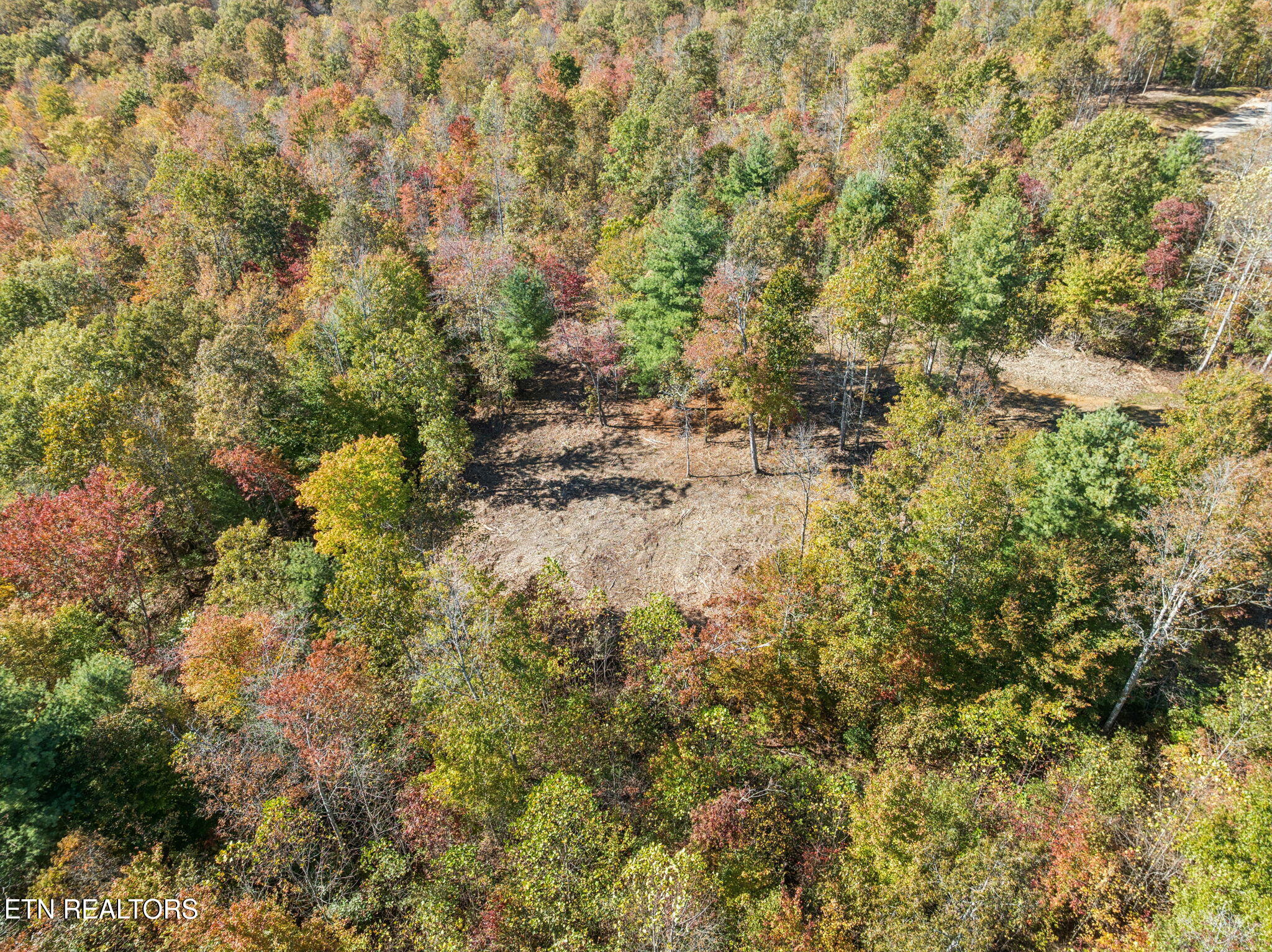 Sheep Ranch Road Robbins TN 37852