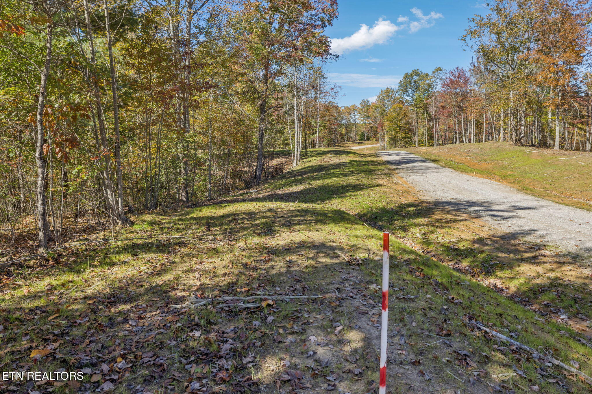 Sheep Ranch Road Robbins TN 37852