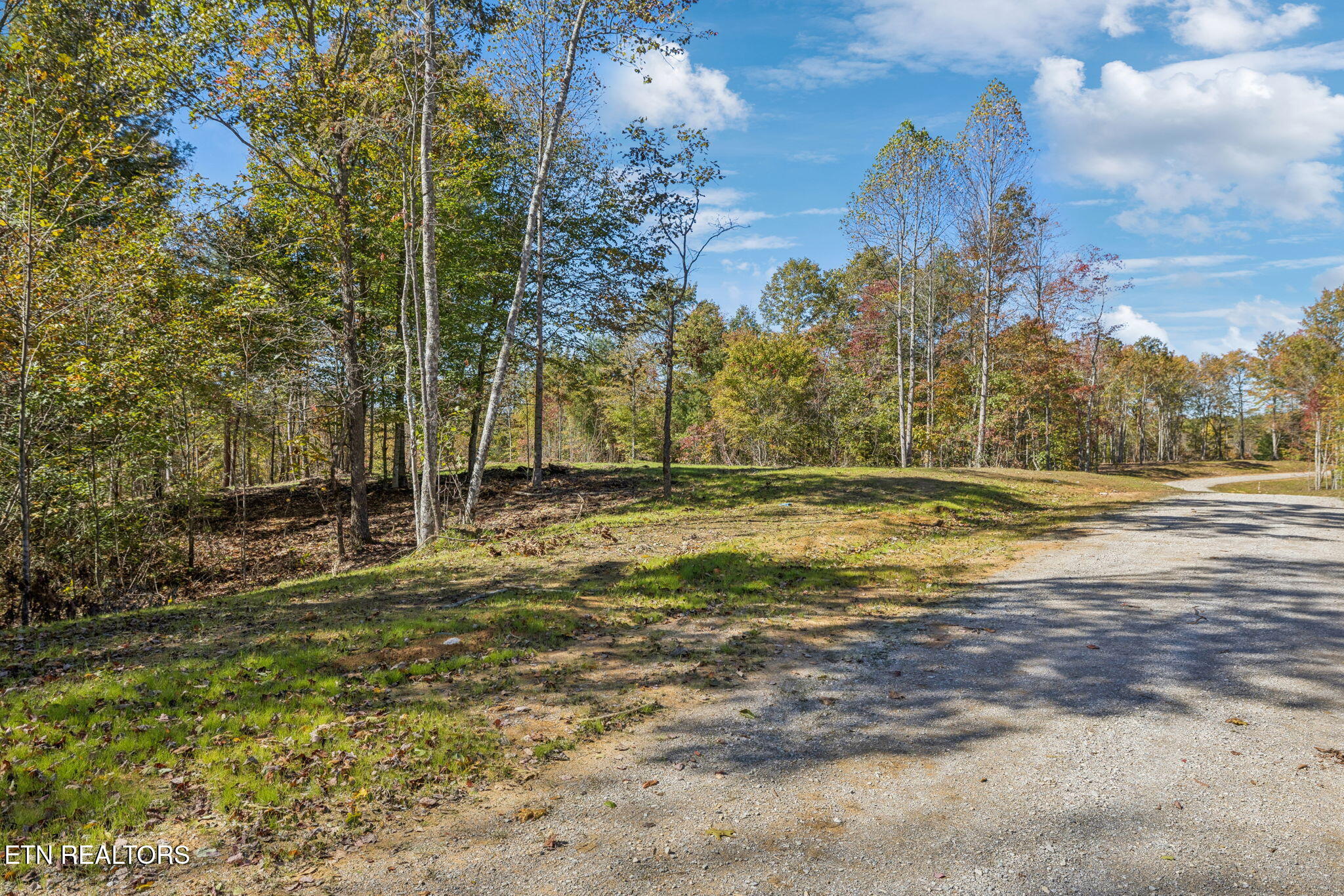 Sheep Ranch Road Robbins TN 37852