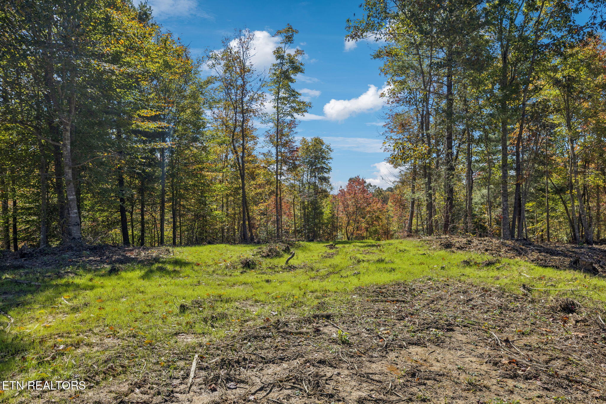 Sheep Ranch Road Robbins TN 37852
