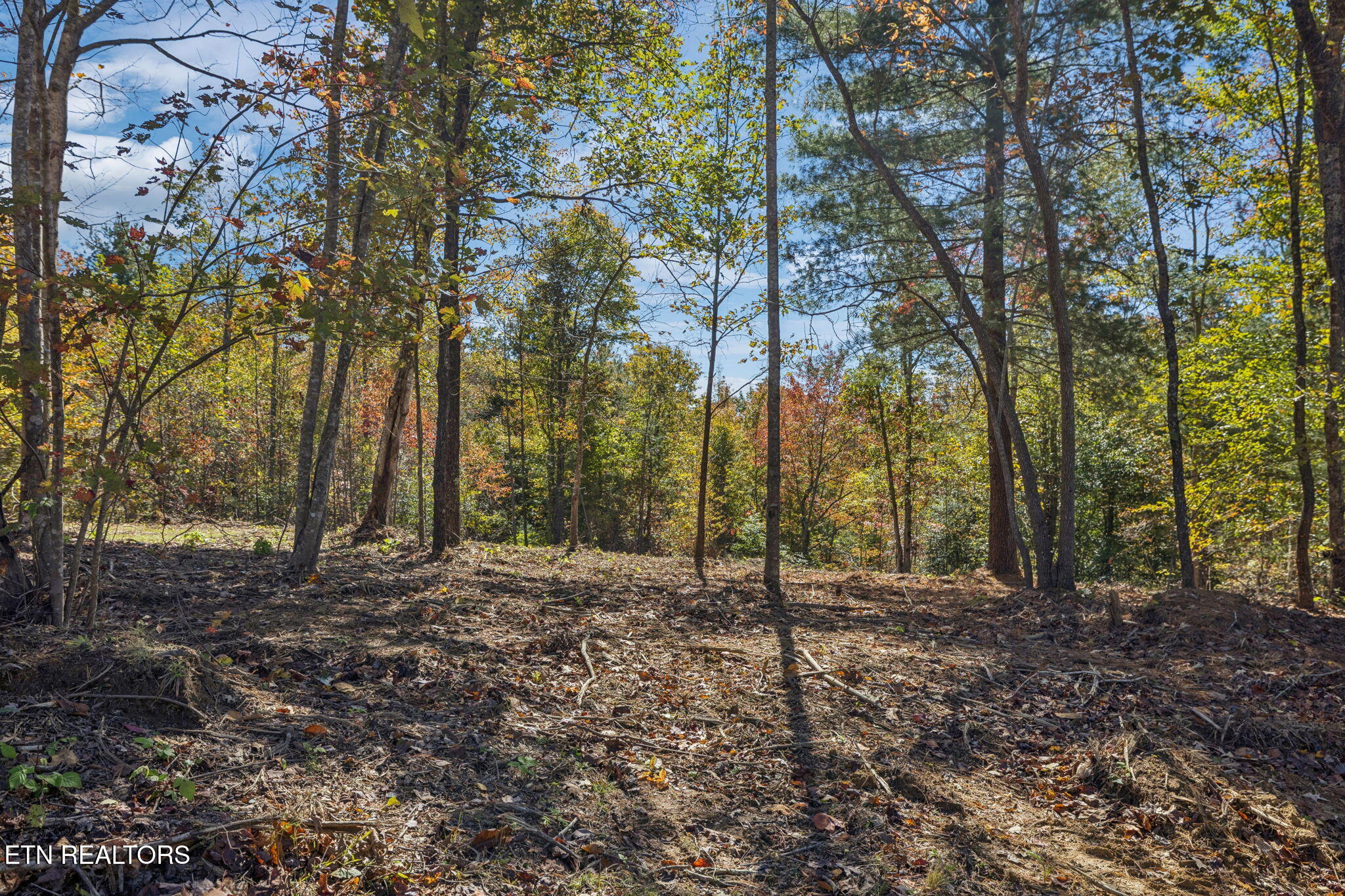 Sheep Ranch Road Robbins TN 37852