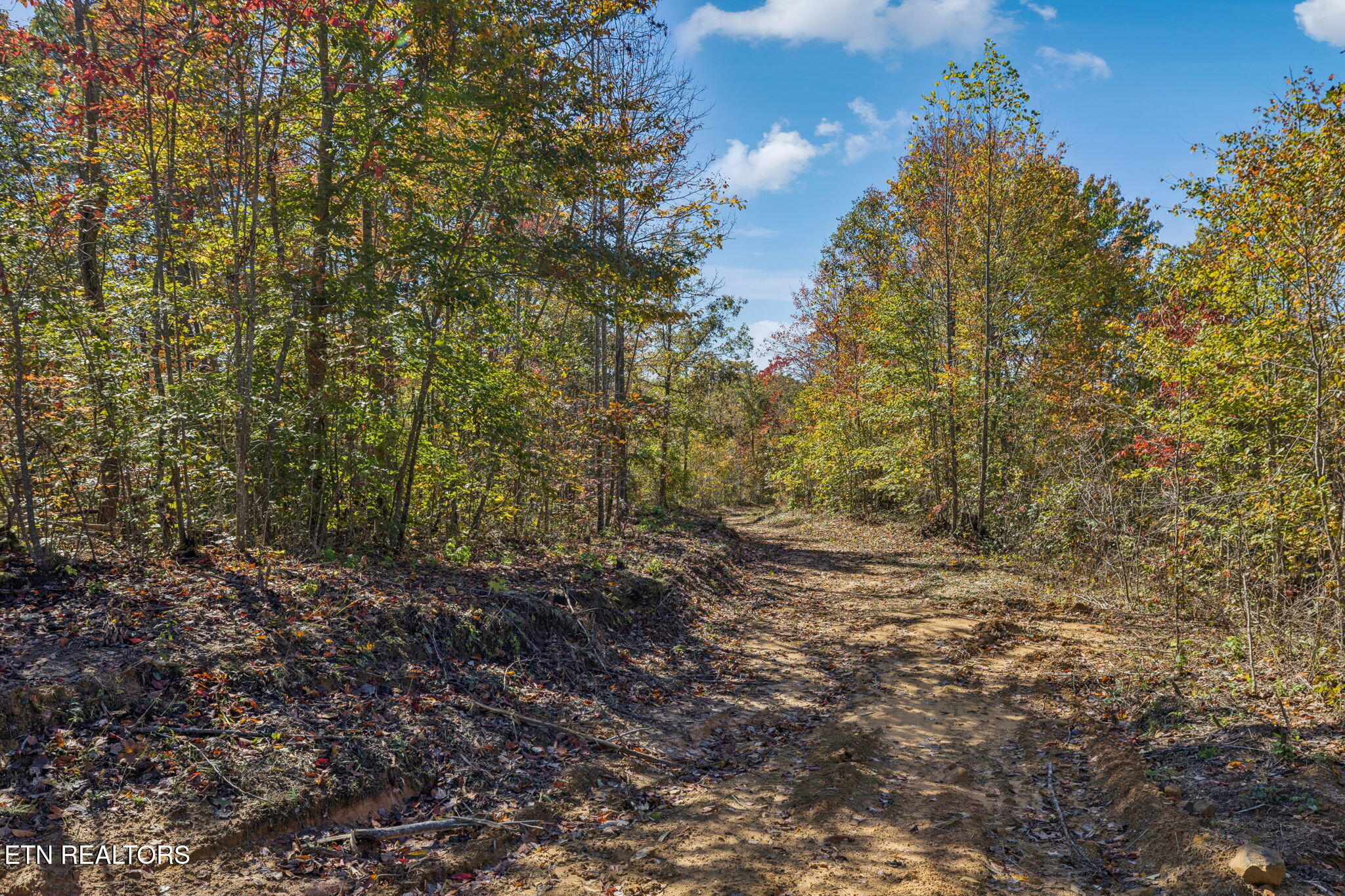 Sheep Ranch Road Robbins TN 37852