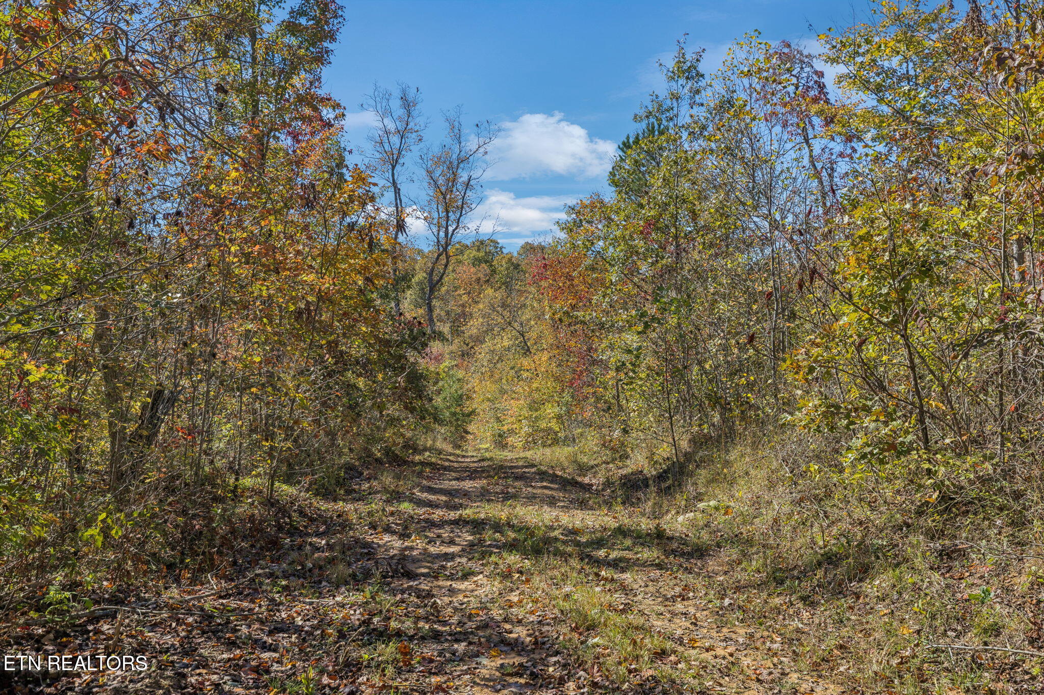 Sheep Ranch Road Robbins TN 37852