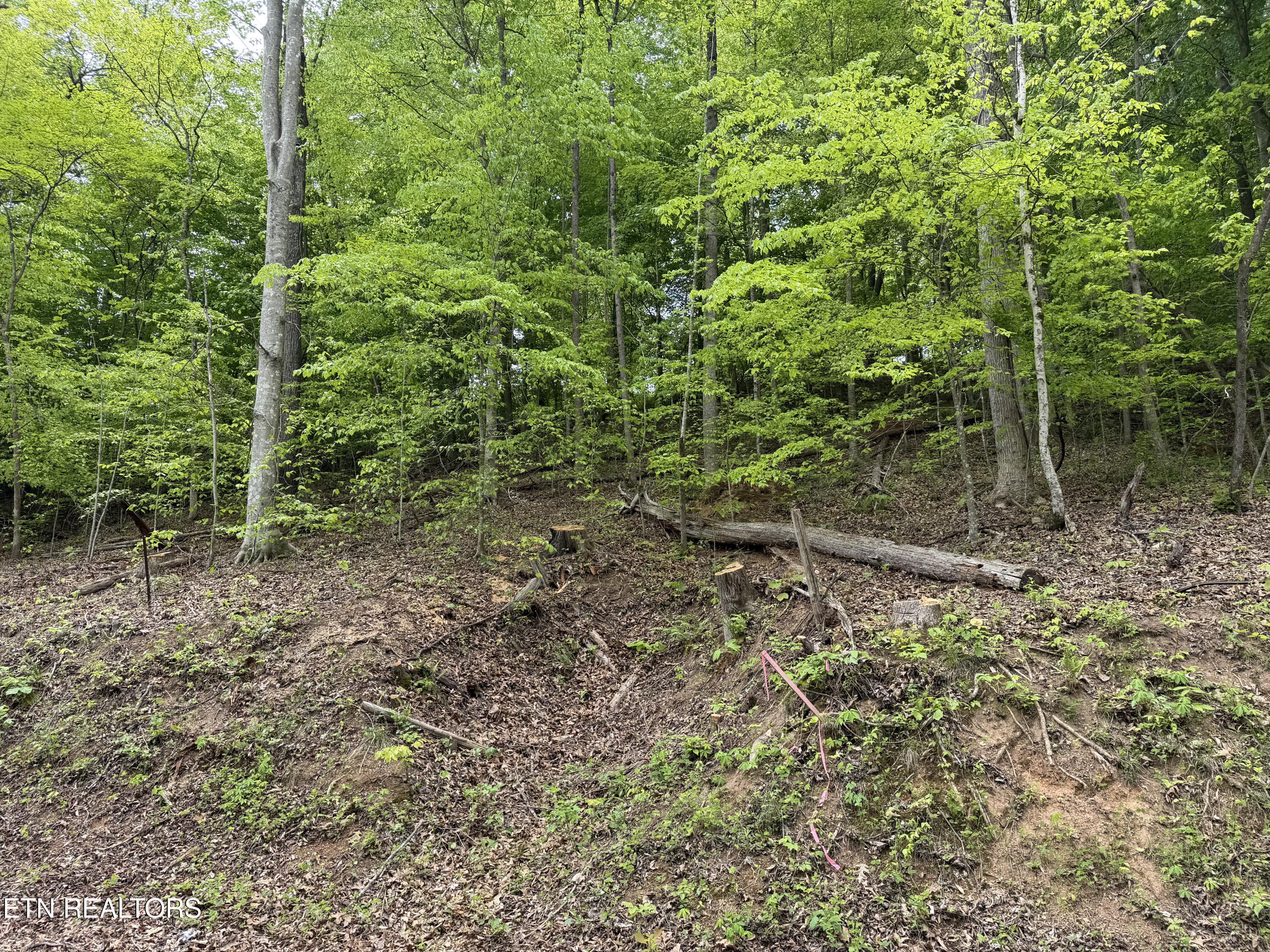 Lots A&b Alder Springs Road Lafollette TN 37766