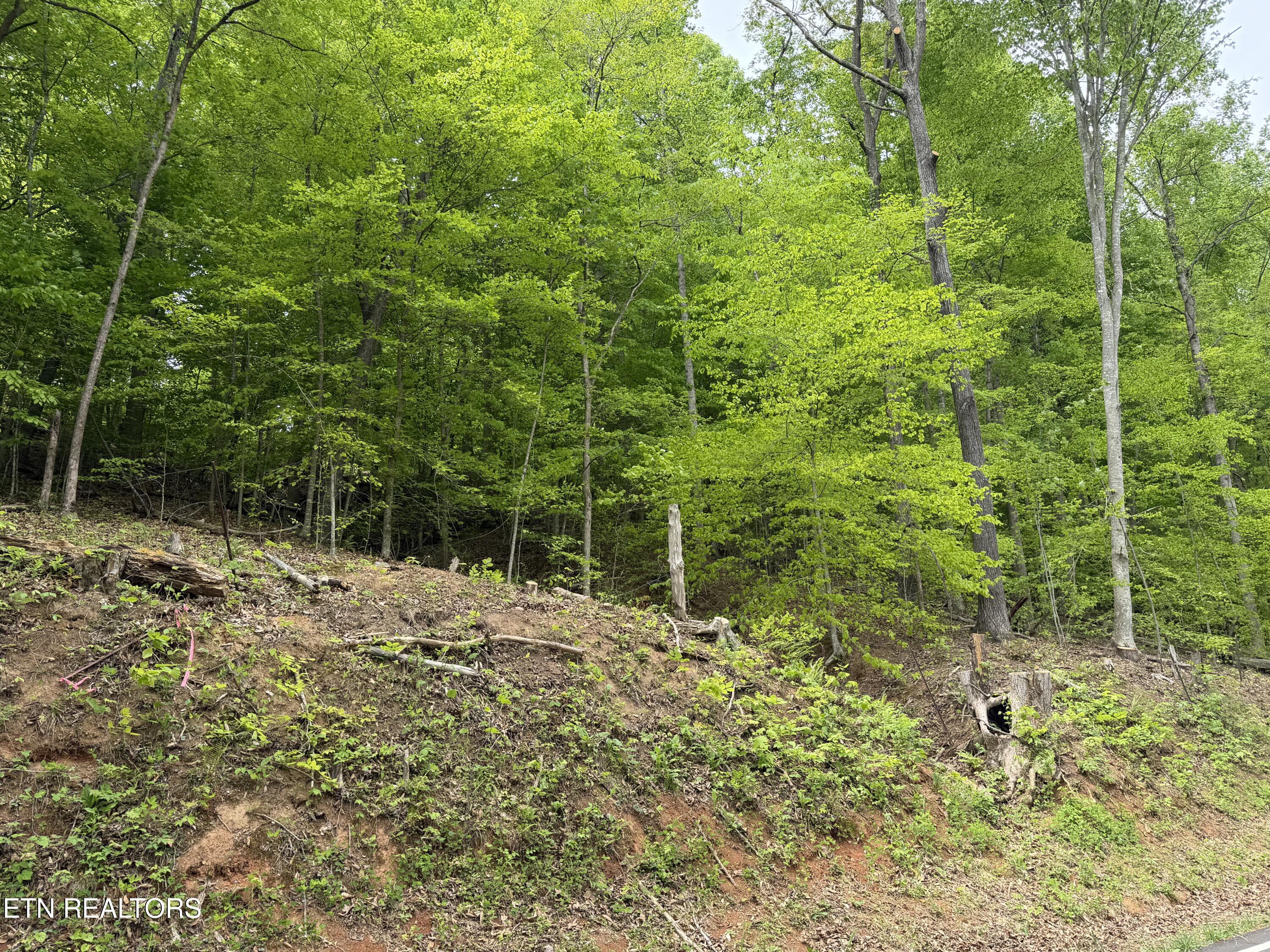 Lots A&b Alder Springs Road Lafollette TN 37766