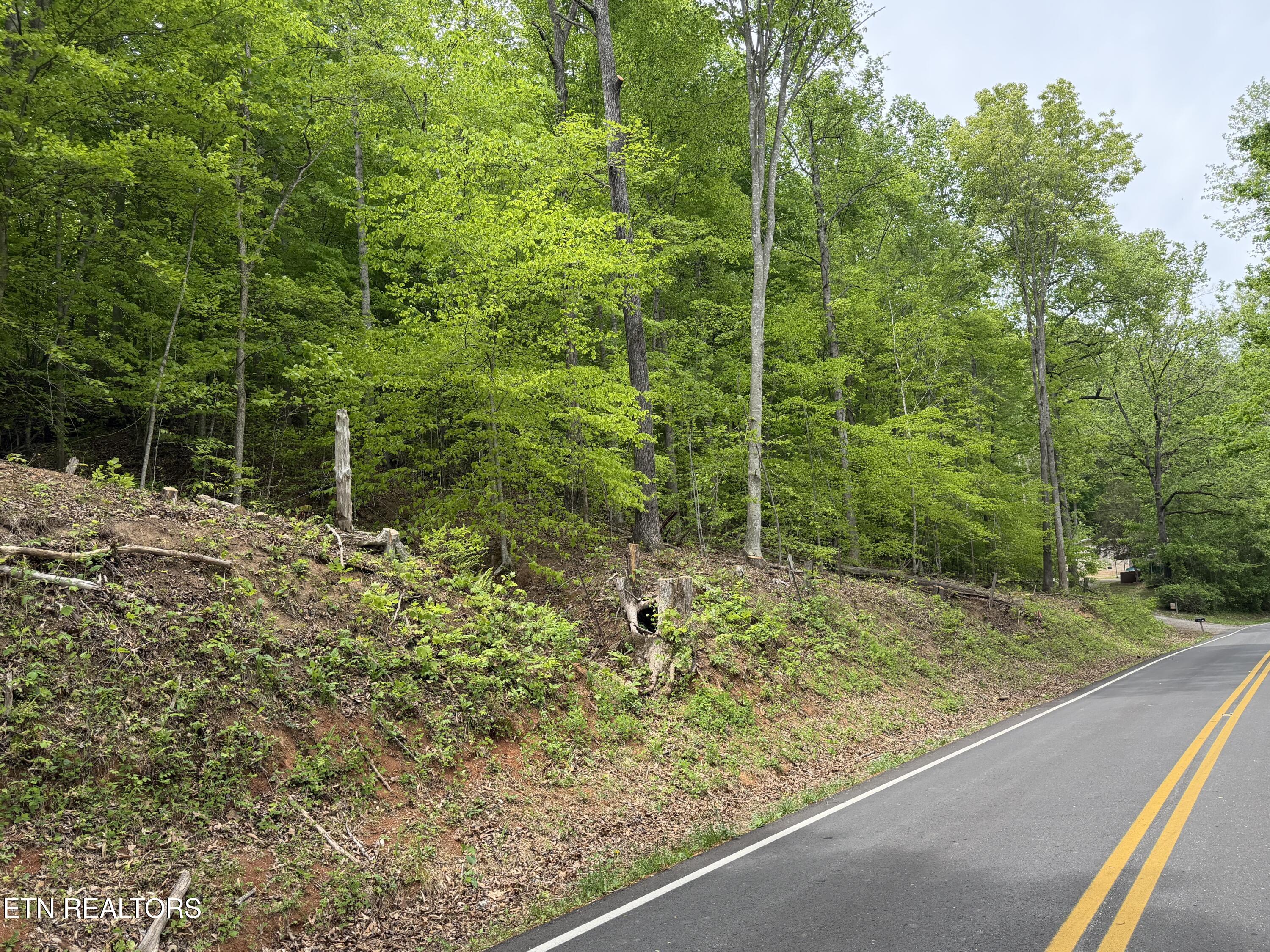 Lots A&b Alder Springs Road Lafollette TN 37766