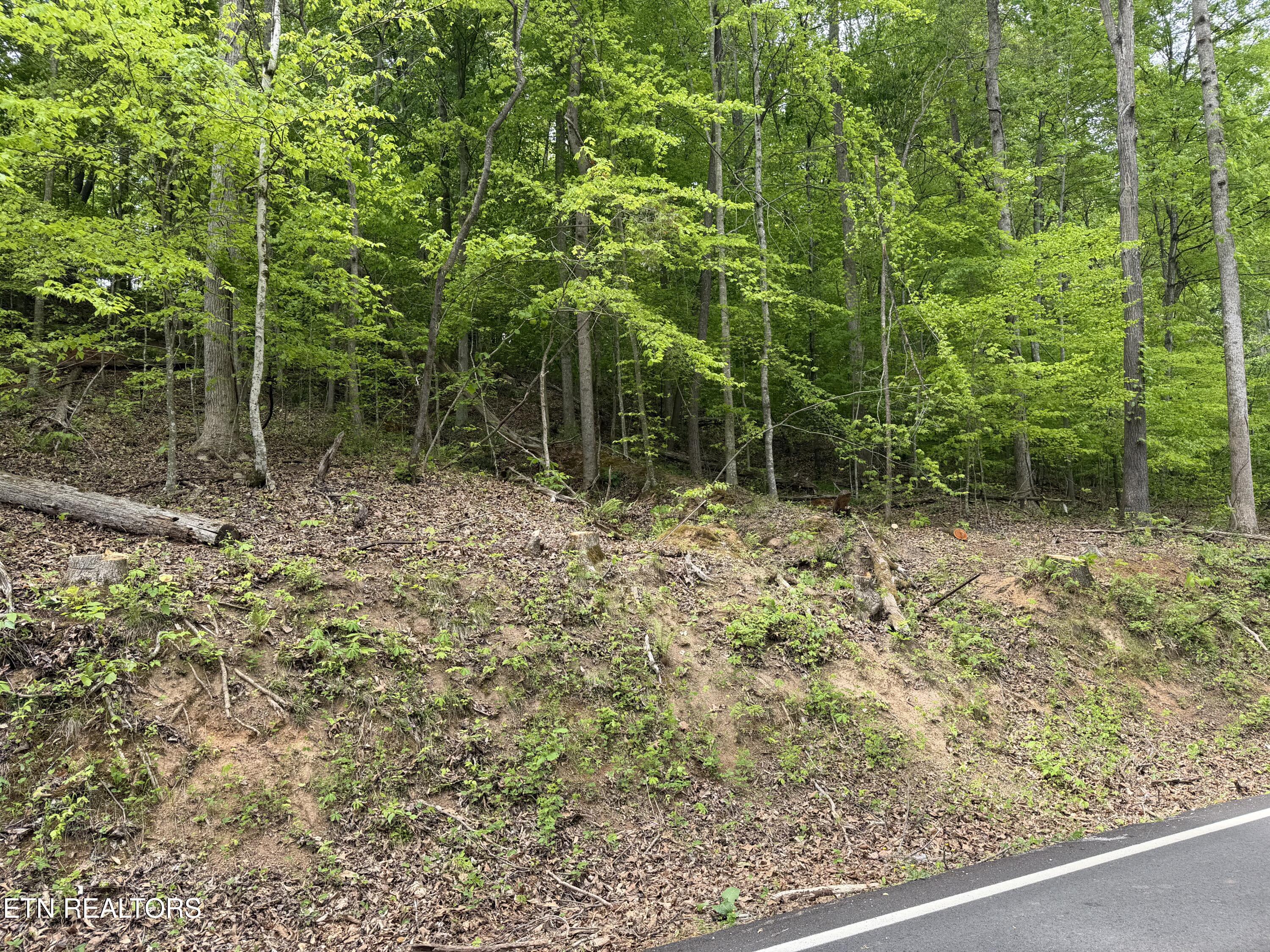 Lots A&b Alder Springs Road Lafollette TN 37766