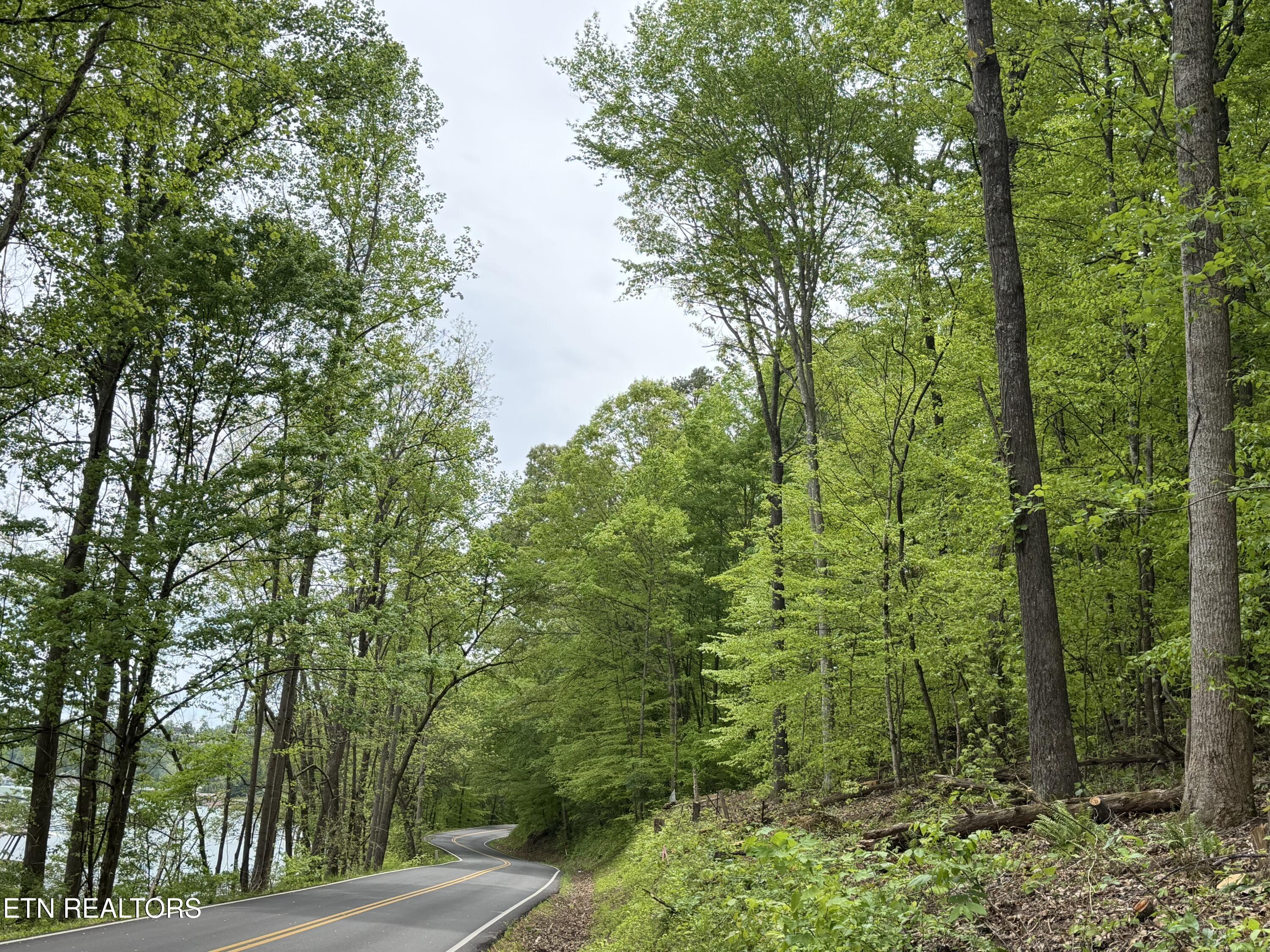 Lots A&b Alder Springs Road Lafollette TN 37766