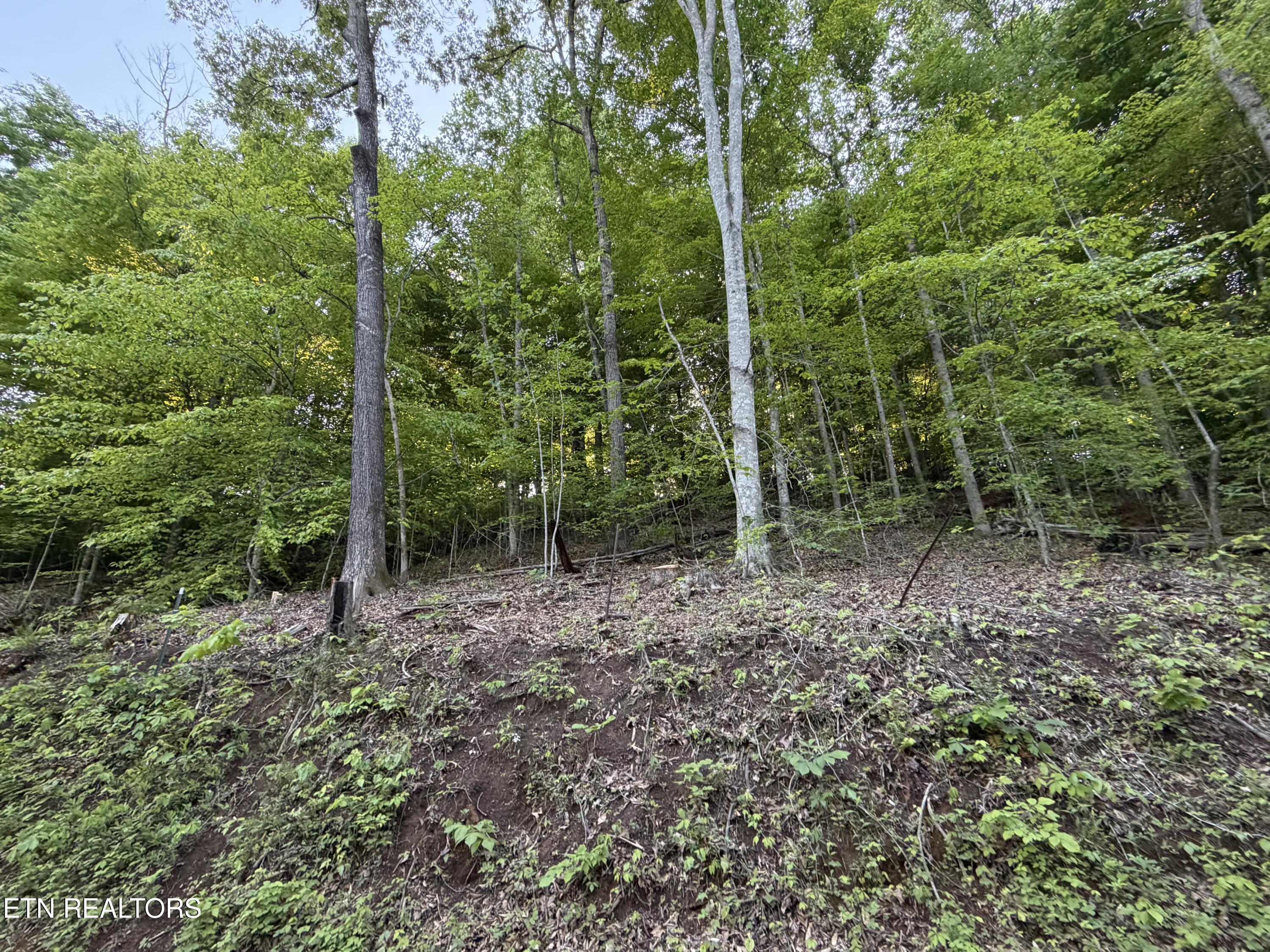 Lots A&b Alder Springs Road Lafollette TN 37766