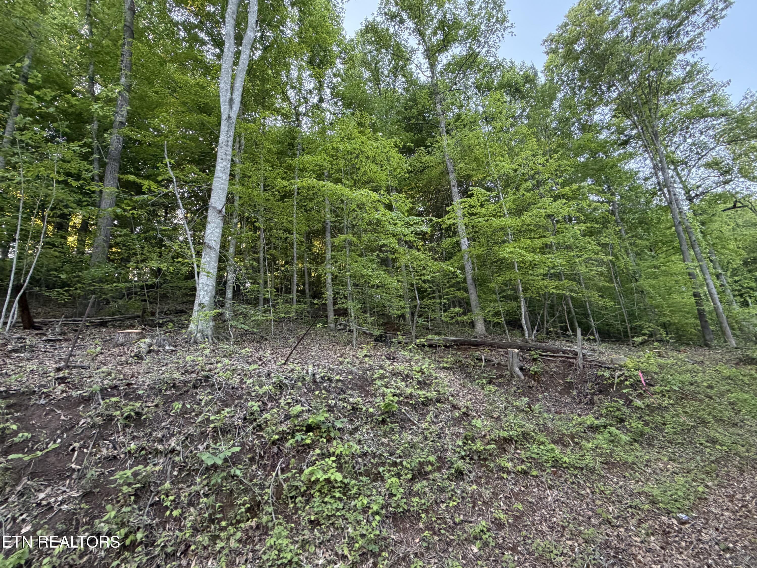 Lots A&b Alder Springs Road Lafollette TN 37766