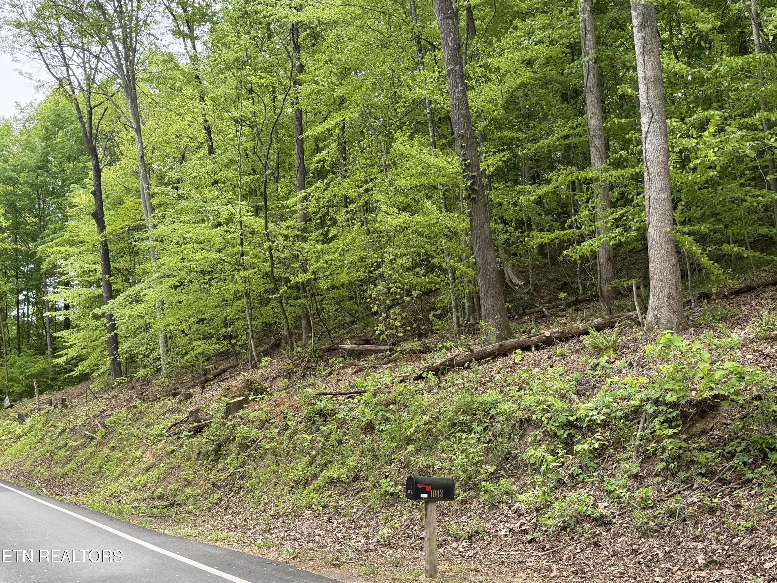 Lots A&b Alder Springs Road Lafollette TN 37766