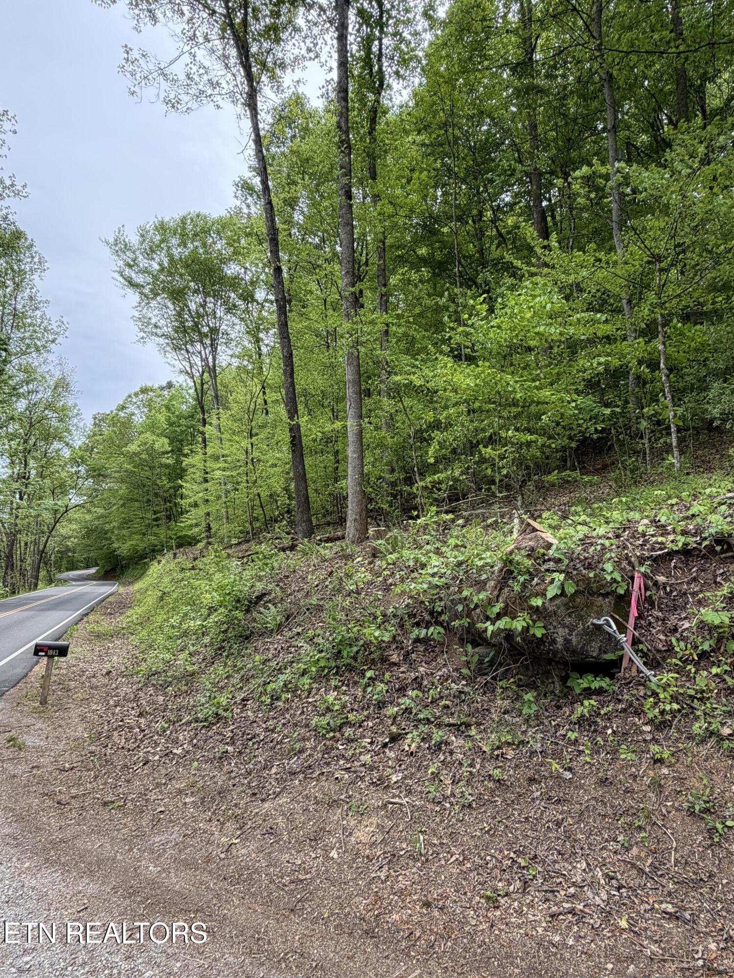 Lots A&b Alder Springs Road Lafollette TN 37766