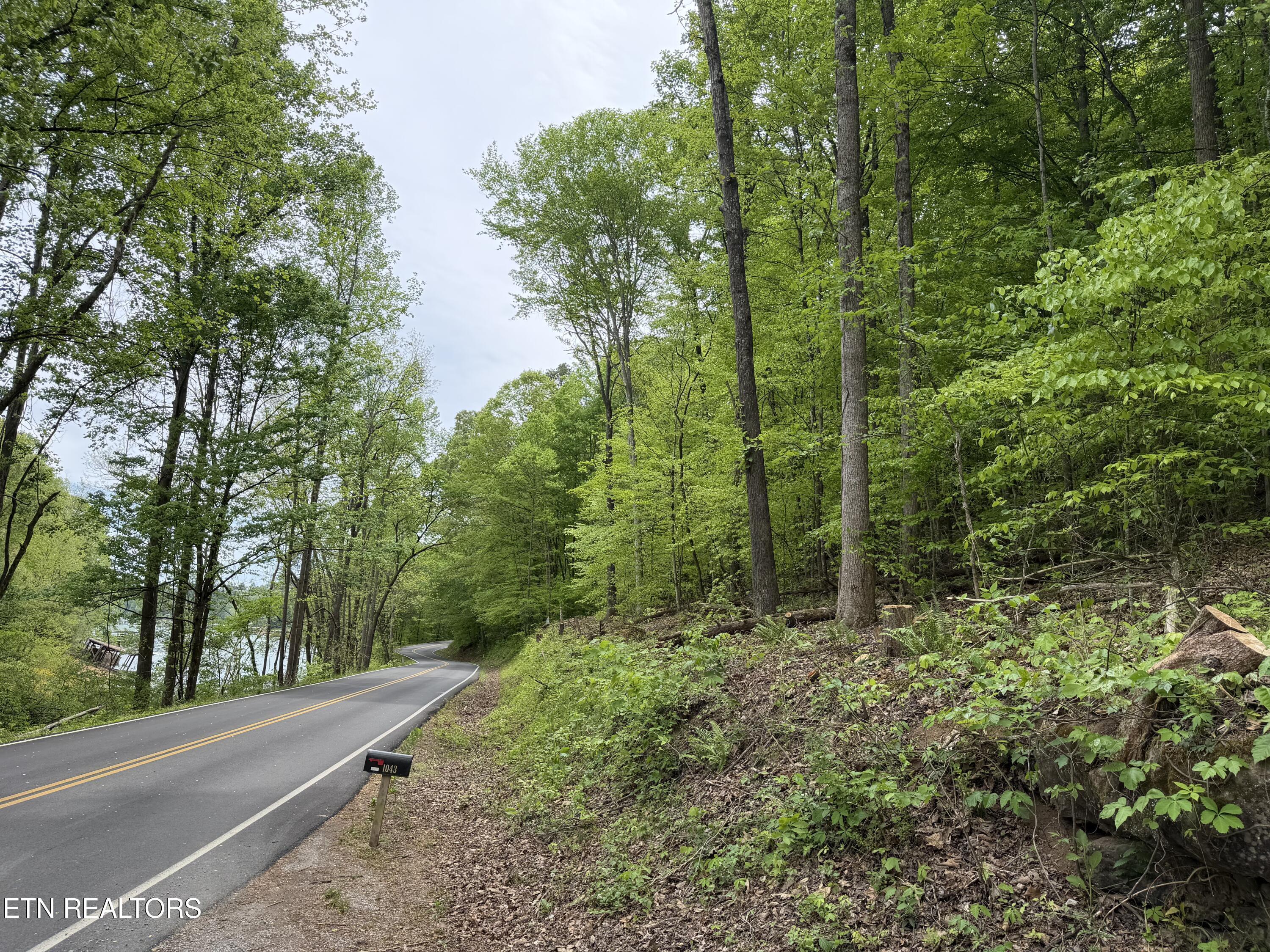 Lots A&b Alder Springs Road Lafollette TN 37766