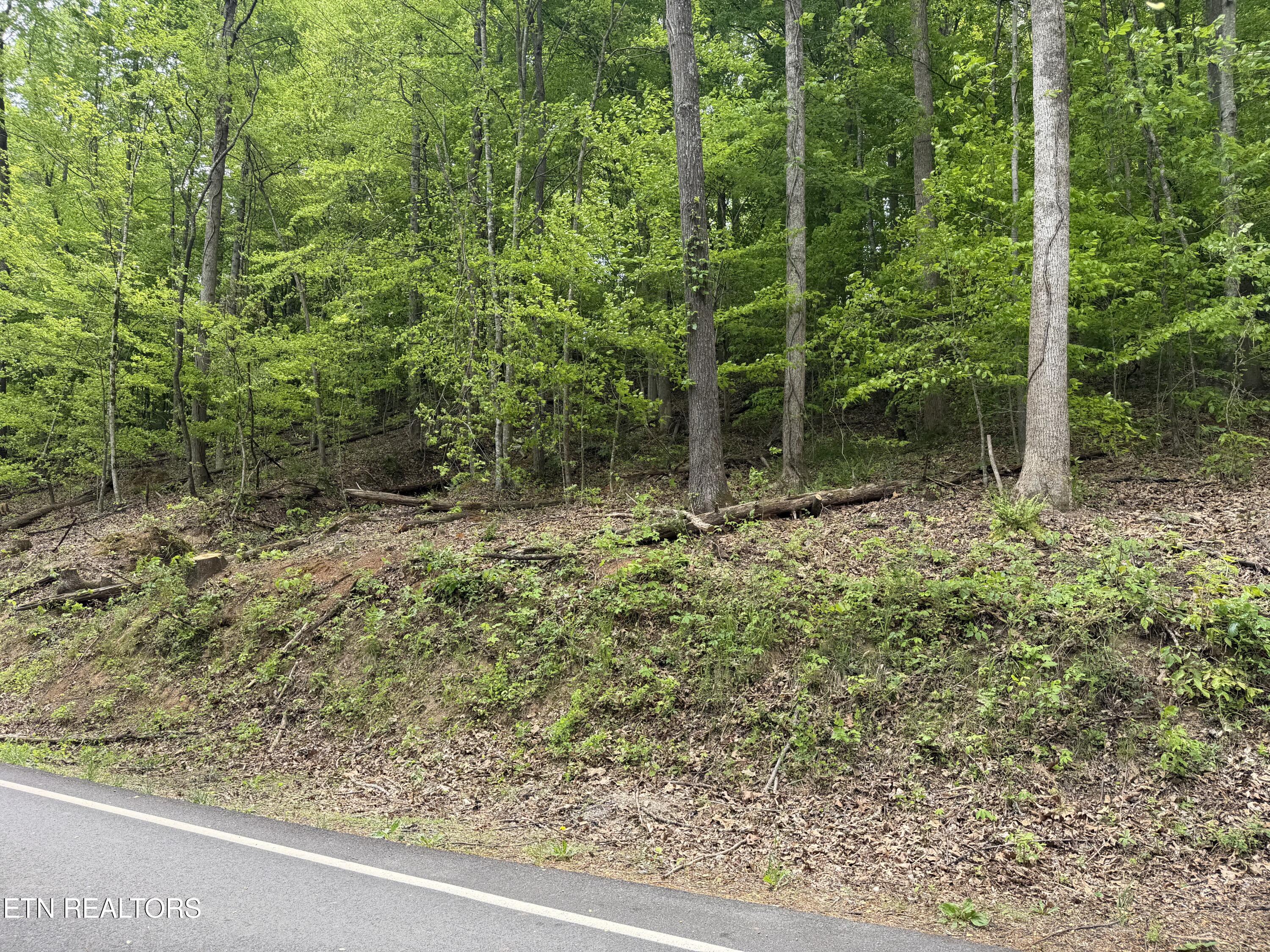 Lots A&b Alder Springs Road Lafollette TN 37766