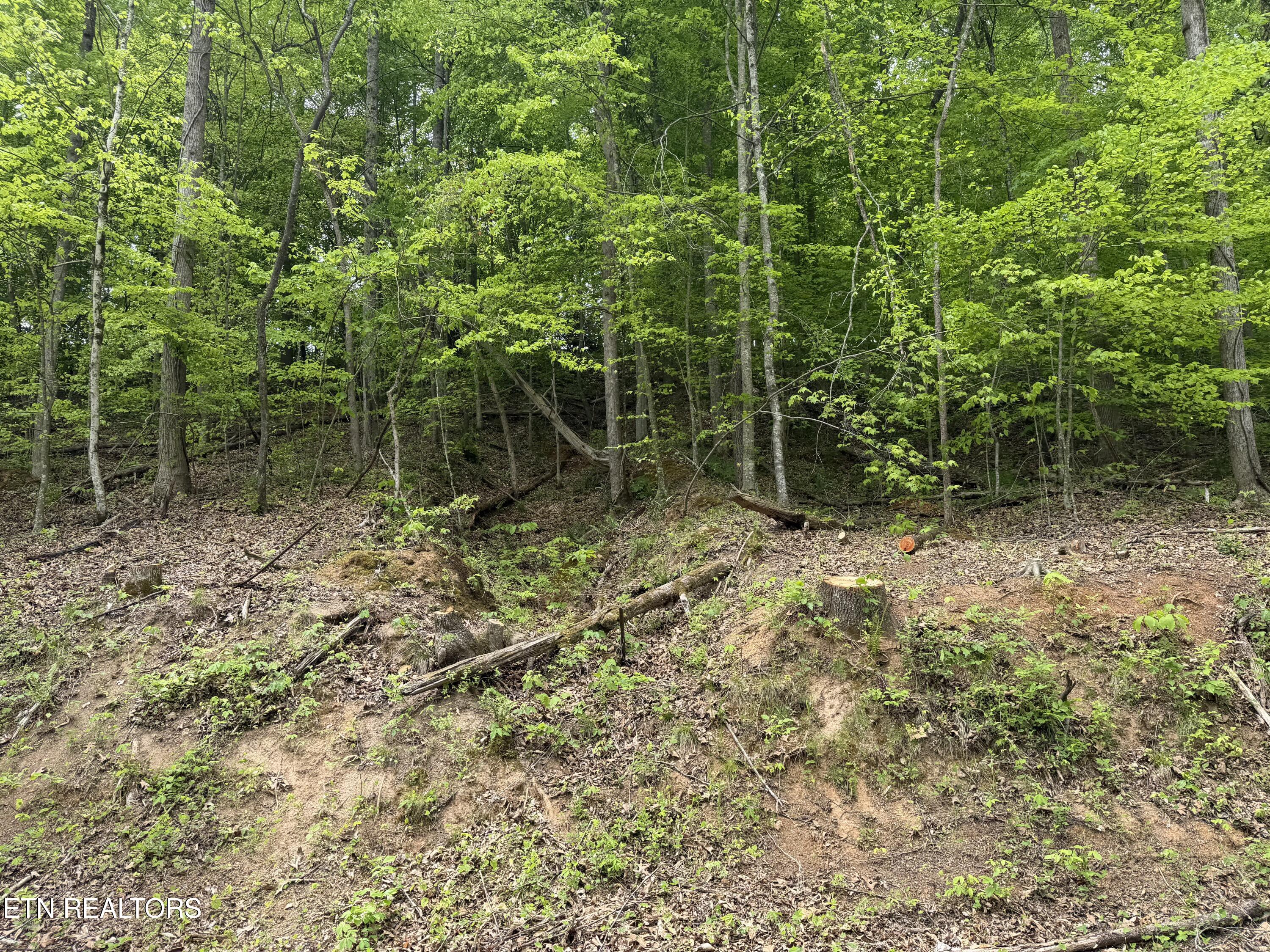 Lots A&b Alder Springs Road Lafollette TN 37766