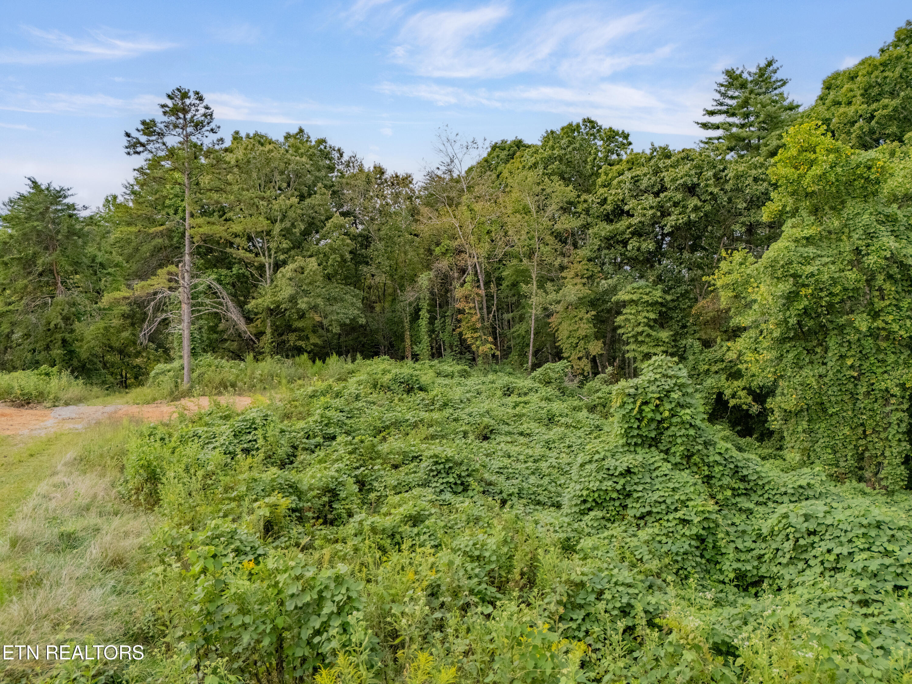 Lot 6 Black Oak Road Harriman TN 37748