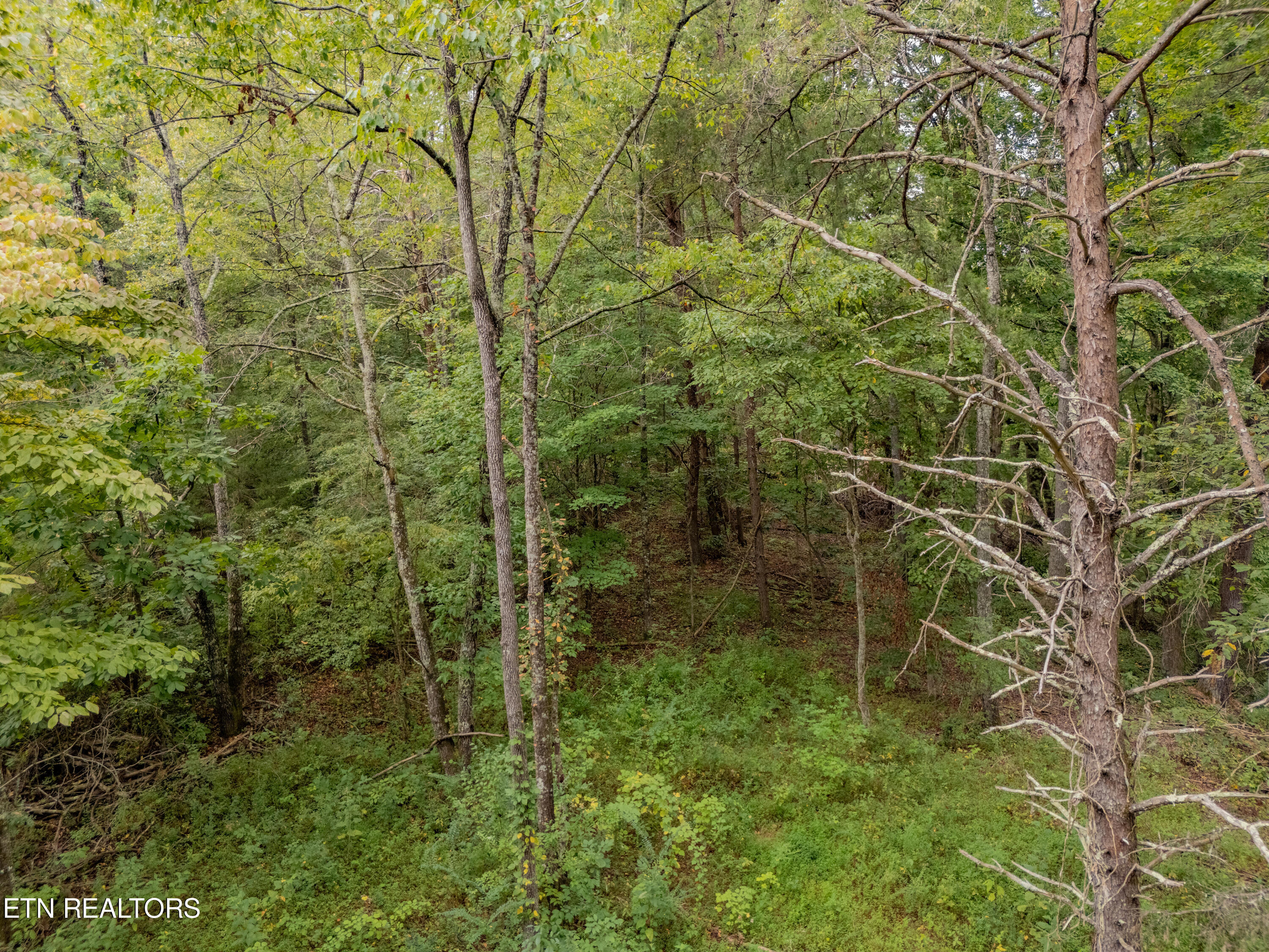 Lot 6 Black Oak Road Harriman TN 37748