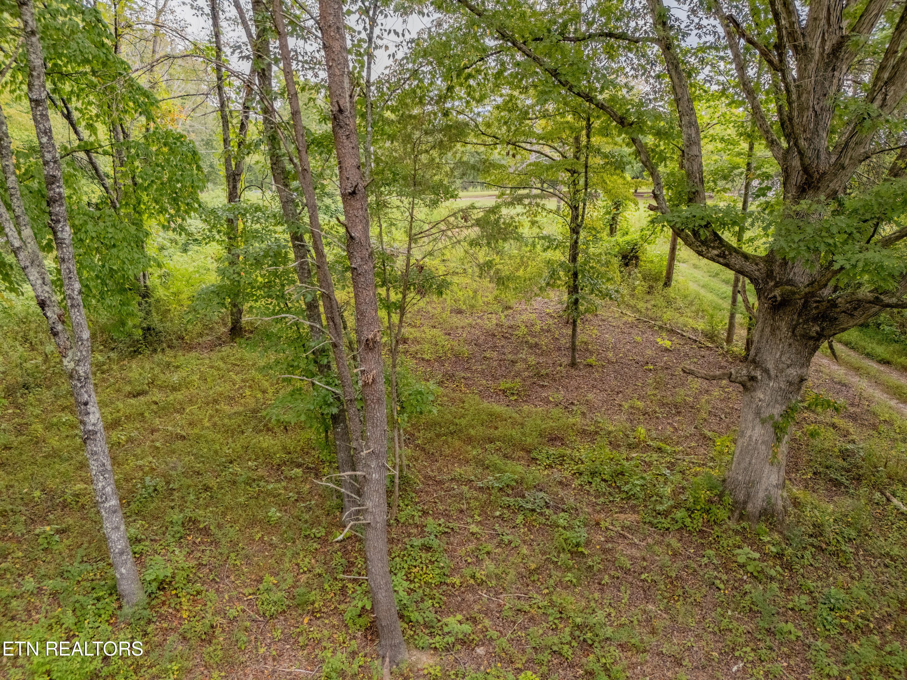 Lot 6 Black Oak Road Harriman TN 37748