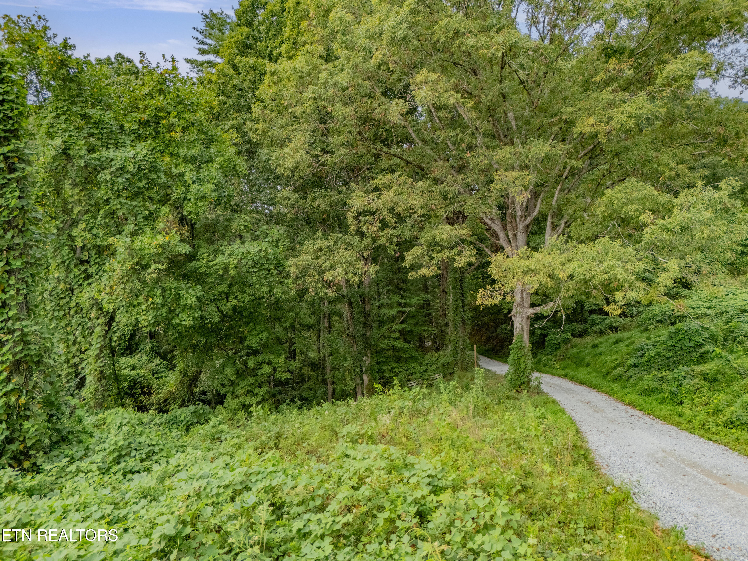 Lot 6 Black Oak Road Harriman TN 37748