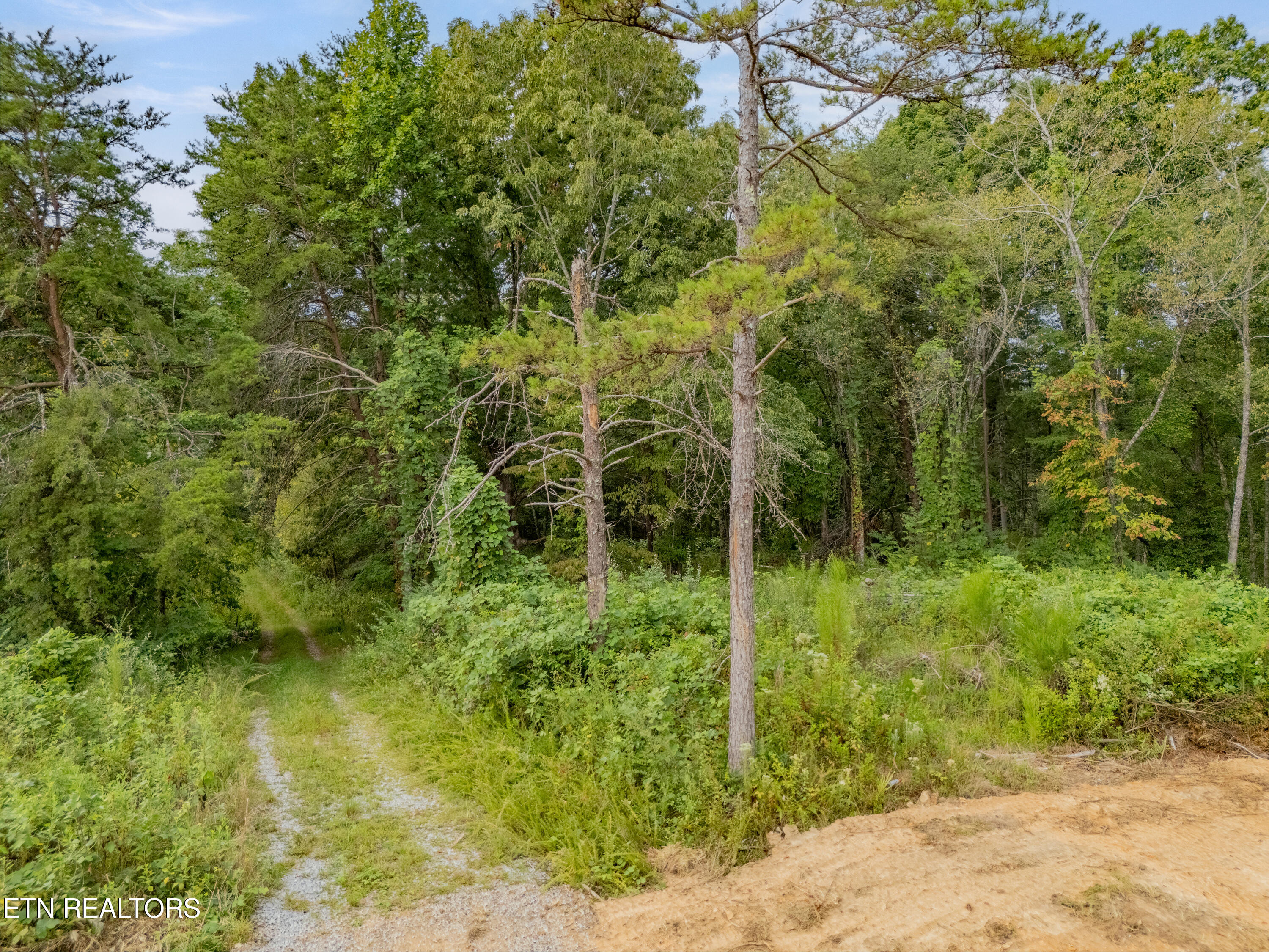 Lot 6 Black Oak Road Harriman TN 37748