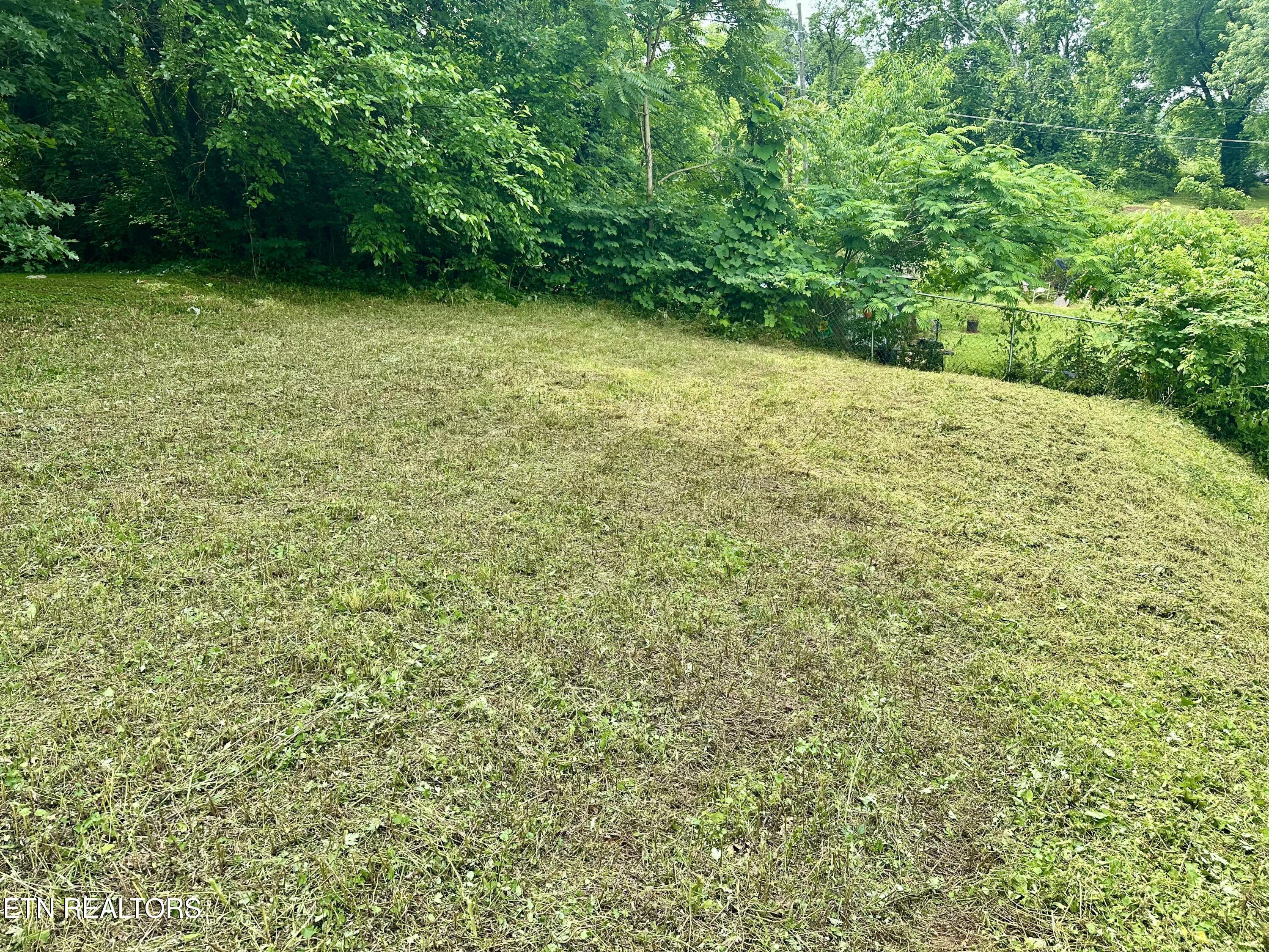 1128 Valley Avenue Knoxville TN 37920