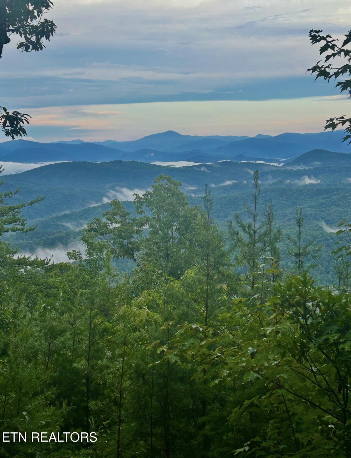 Lot 45 Tower Road Tallassee TN 37878