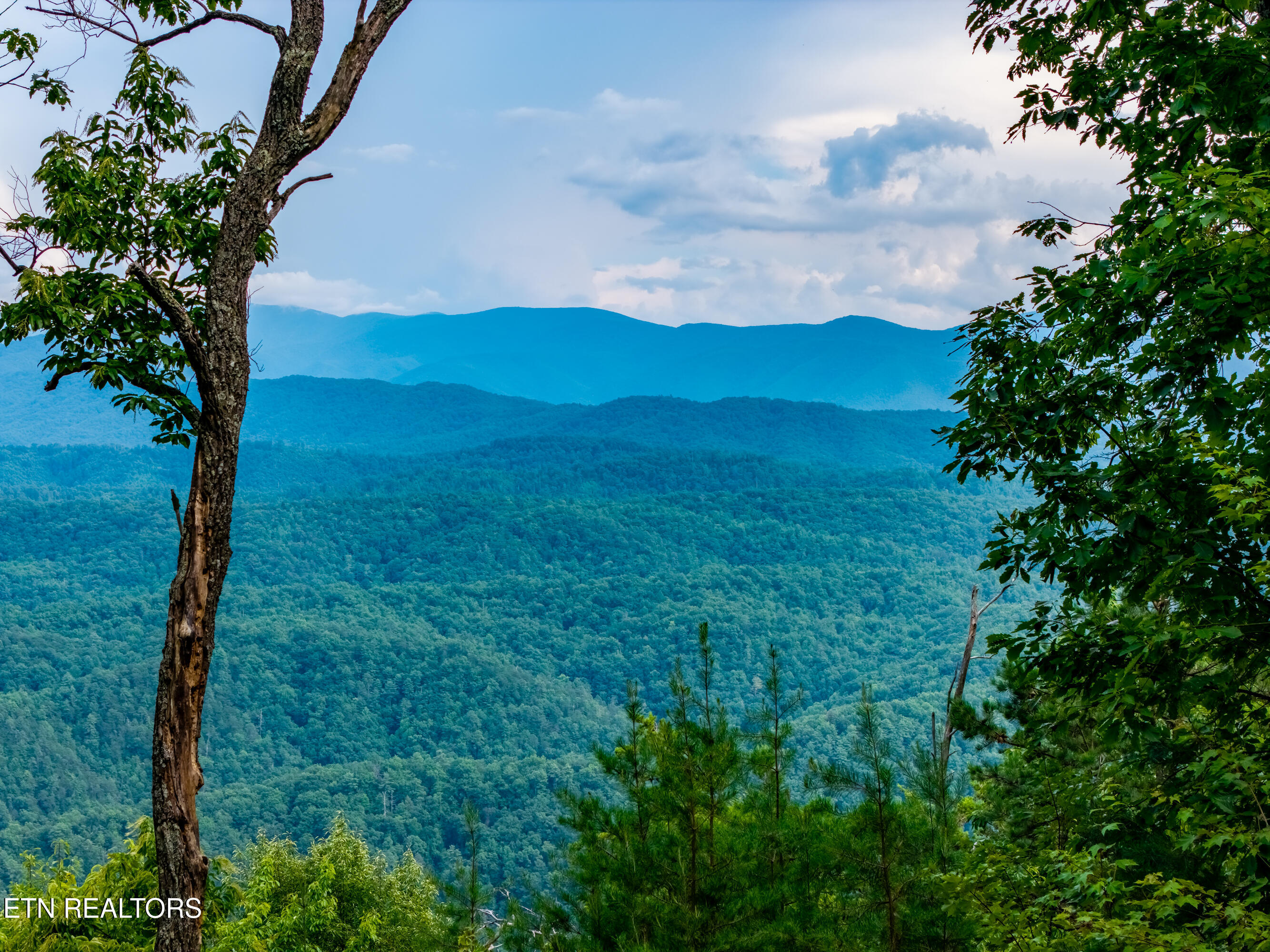 Lot 45 Tower Road Tallassee TN 37878