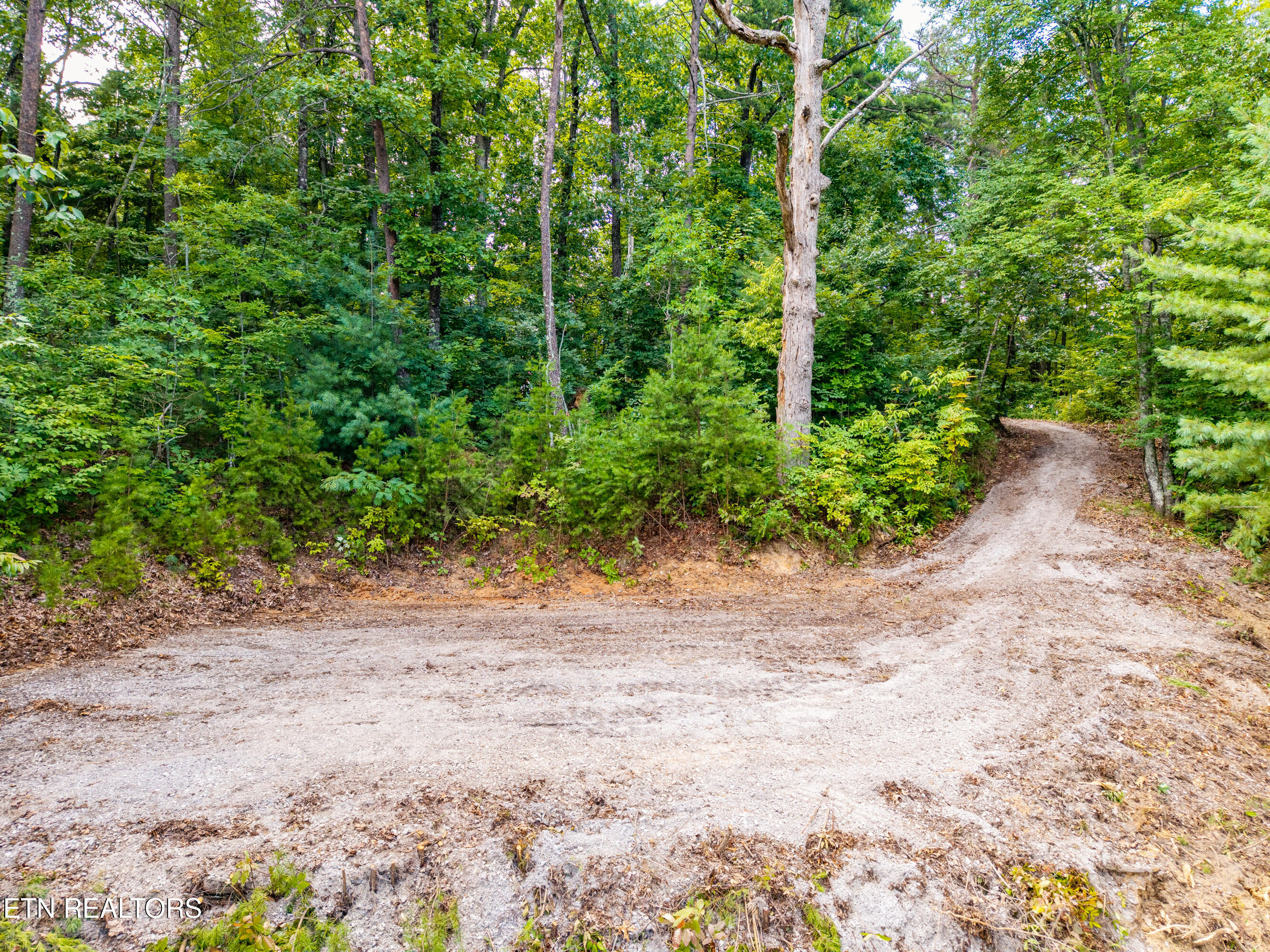 Lot 45 Tower Road Tallassee TN 37878