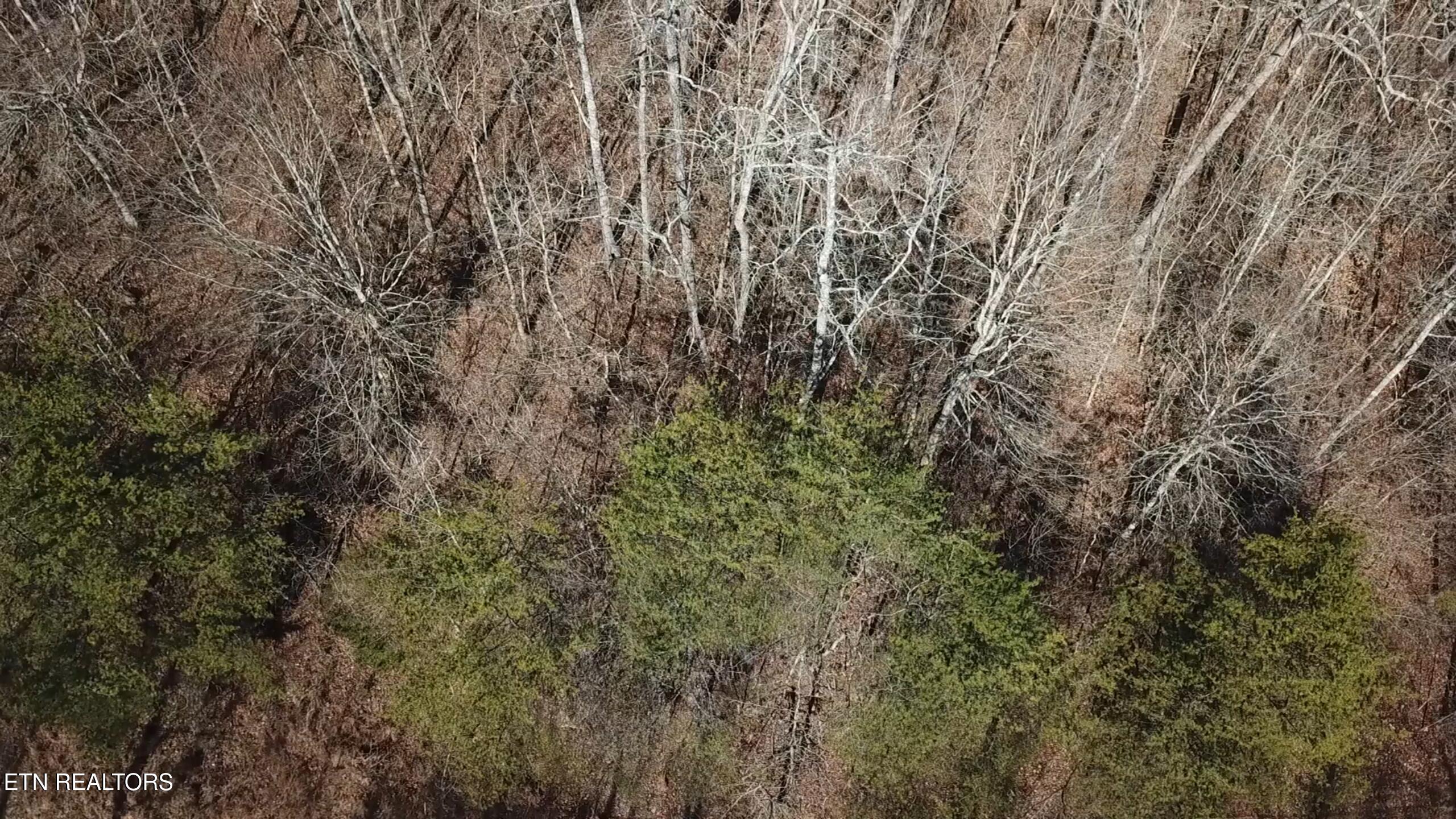 Lot 142 Whistle Valley Road New Tazewell TN 37825