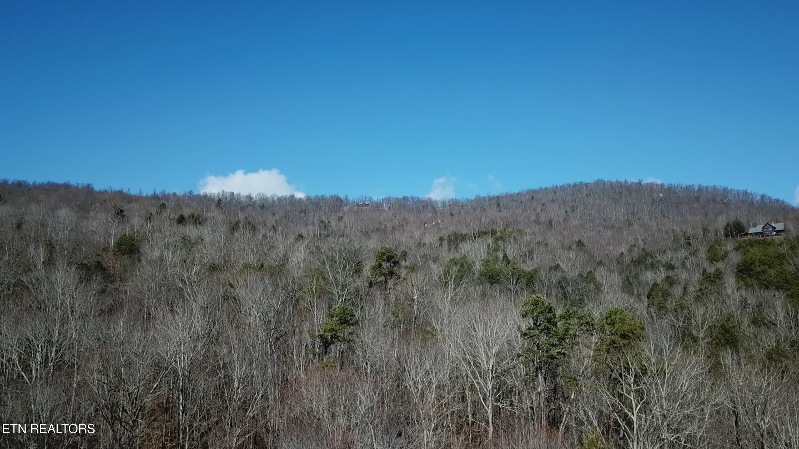 Lot 142 Whistle Valley Road New Tazewell TN 37825
