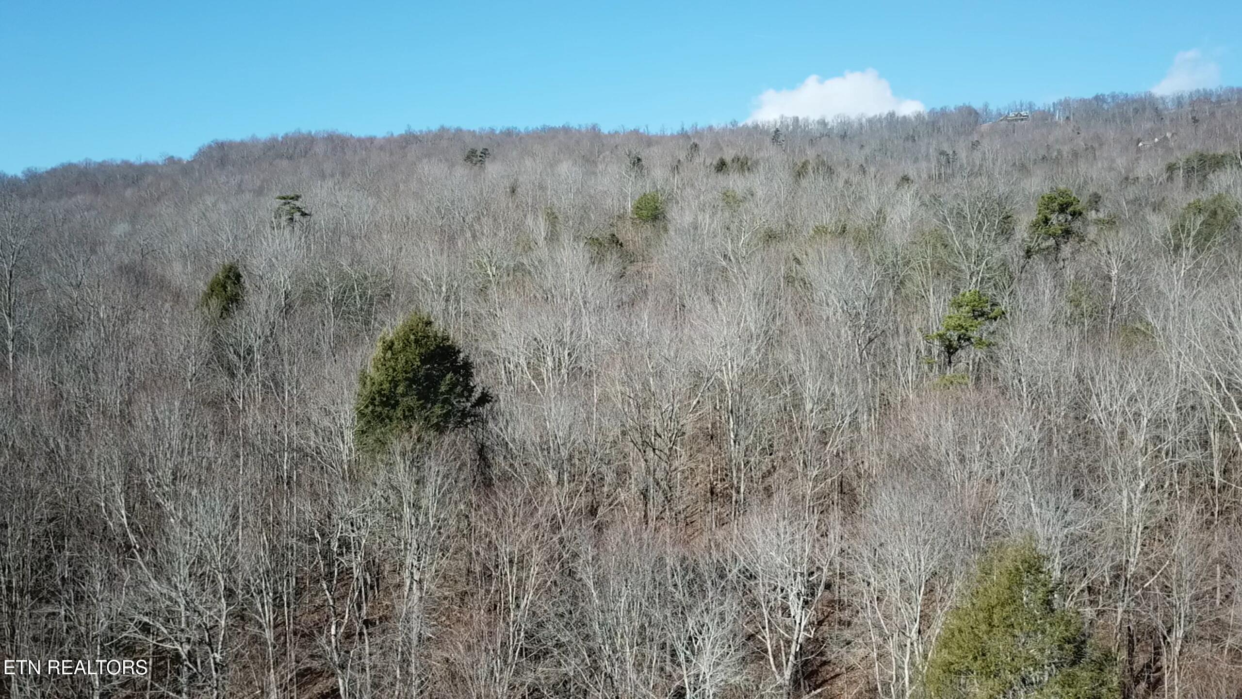 Lot 142 Whistle Valley Road New Tazewell TN 37825