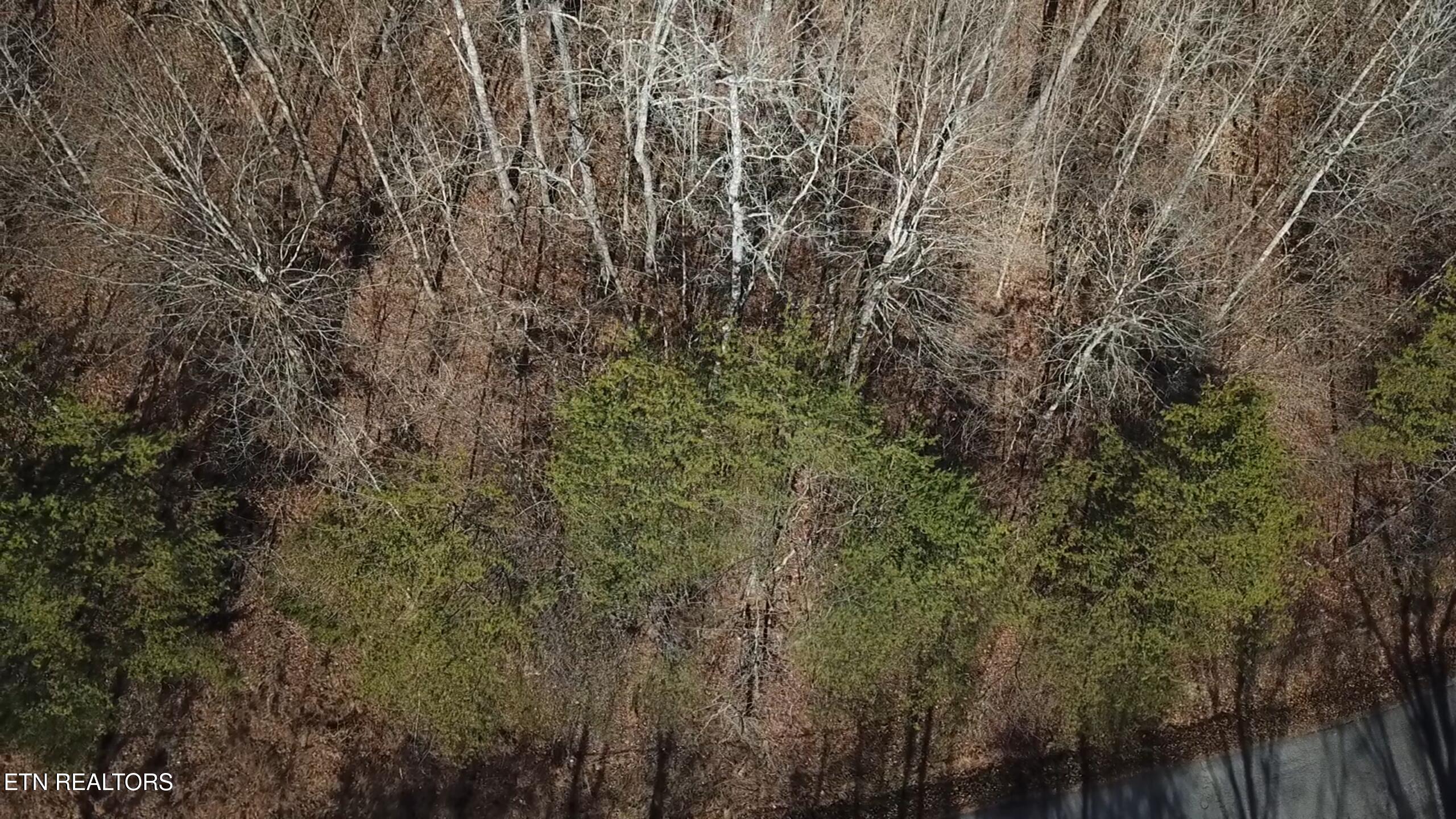 Lot 142 Whistle Valley Road New Tazewell TN 37825
