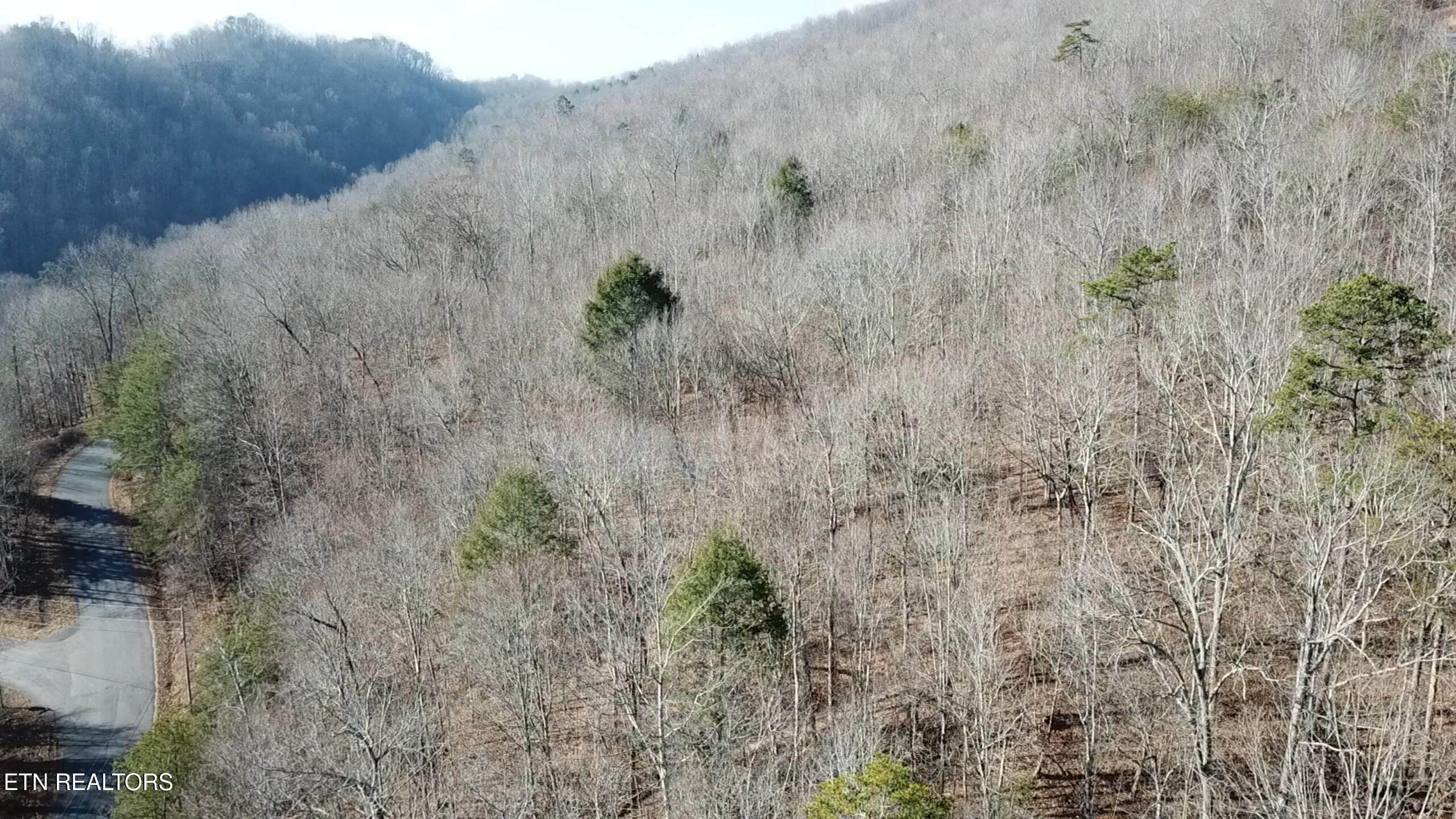 Lot 142 Whistle Valley Road New Tazewell TN 37825