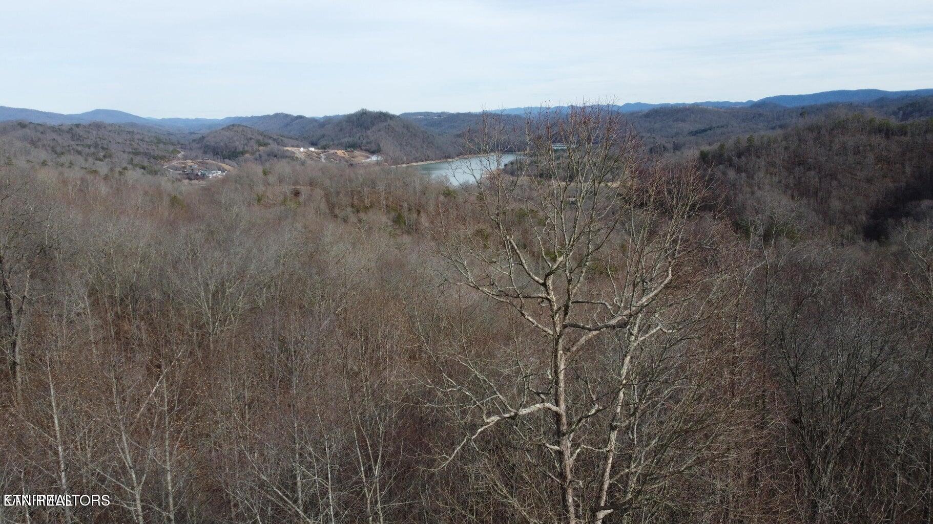 Lot 142 Whistle Valley Road New Tazewell TN 37825