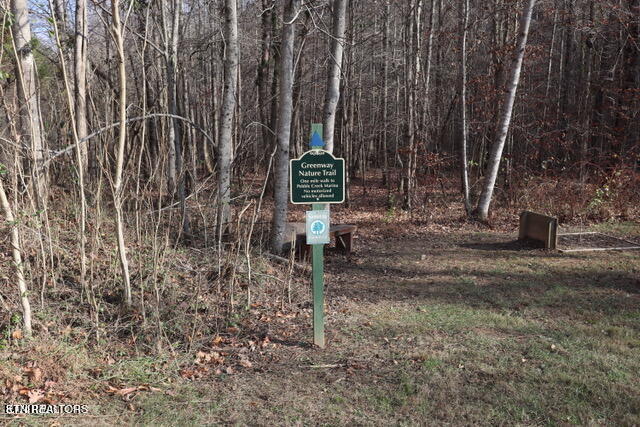Lot 142 Whistle Valley Road New Tazewell TN 37825