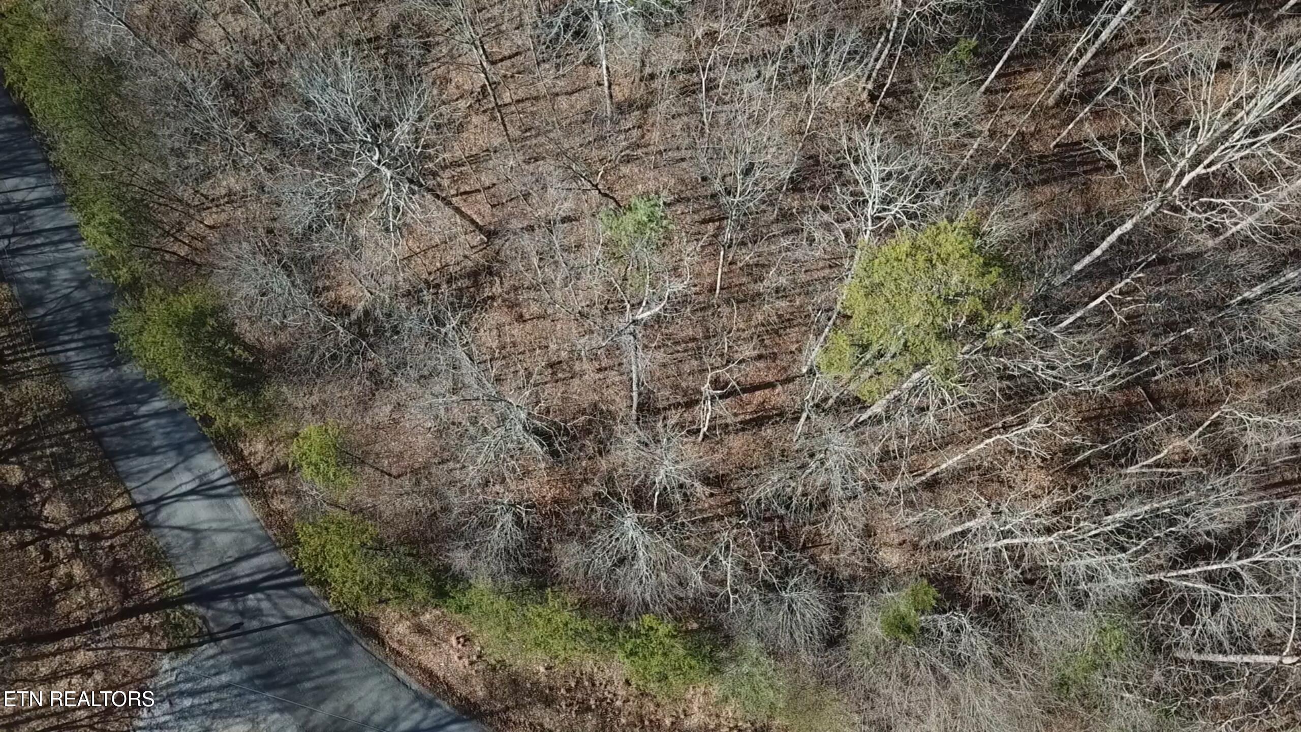 Lot 142 Whistle Valley Road New Tazewell TN 37825