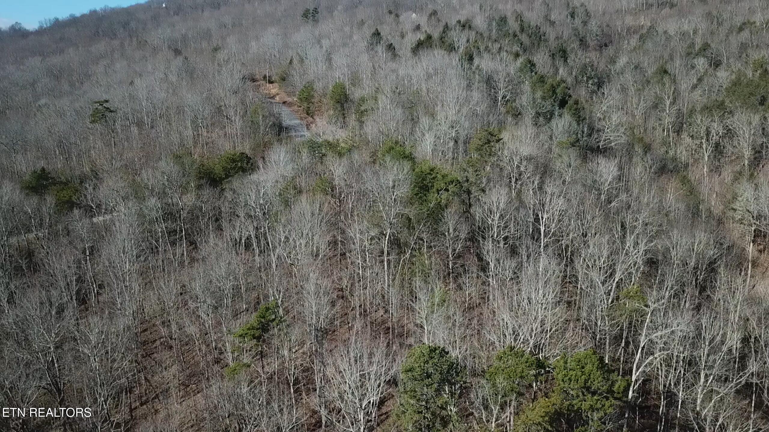Lot 142 Whistle Valley Road New Tazewell TN 37825