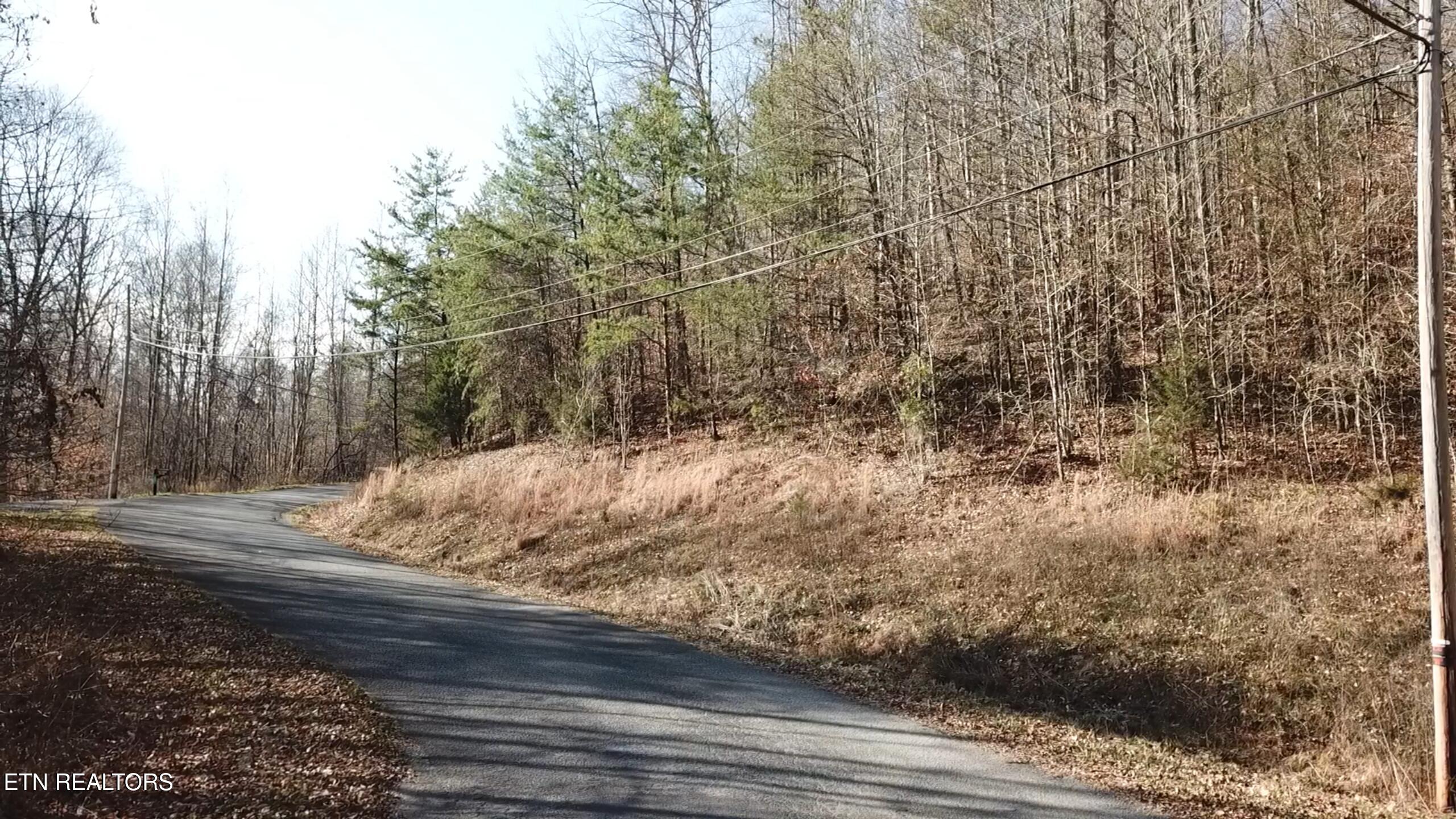 Lot 142 Whistle Valley Road New Tazewell TN 37825